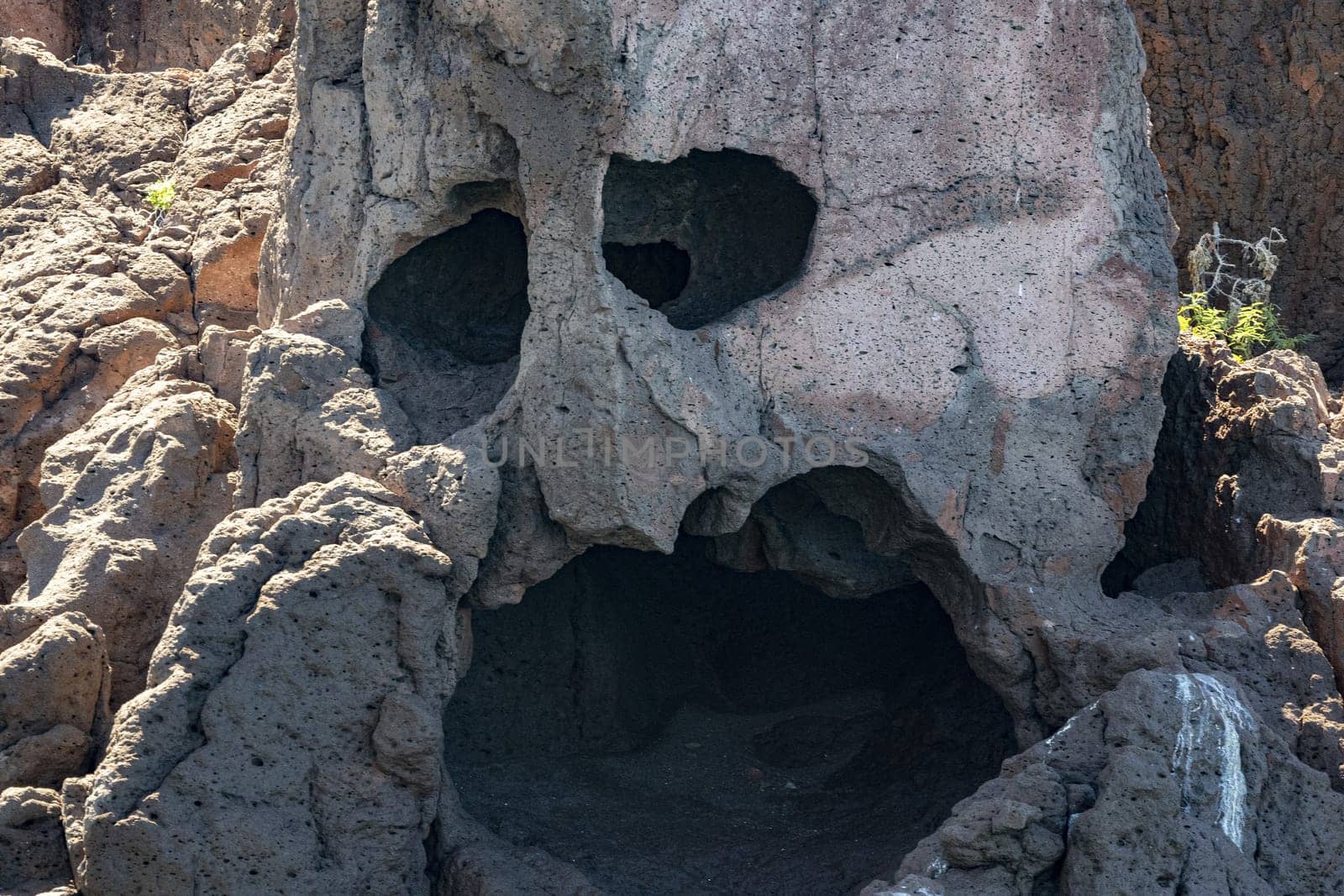 skull shape baja california sur cortez sea rocks detail by AndreaIzzotti