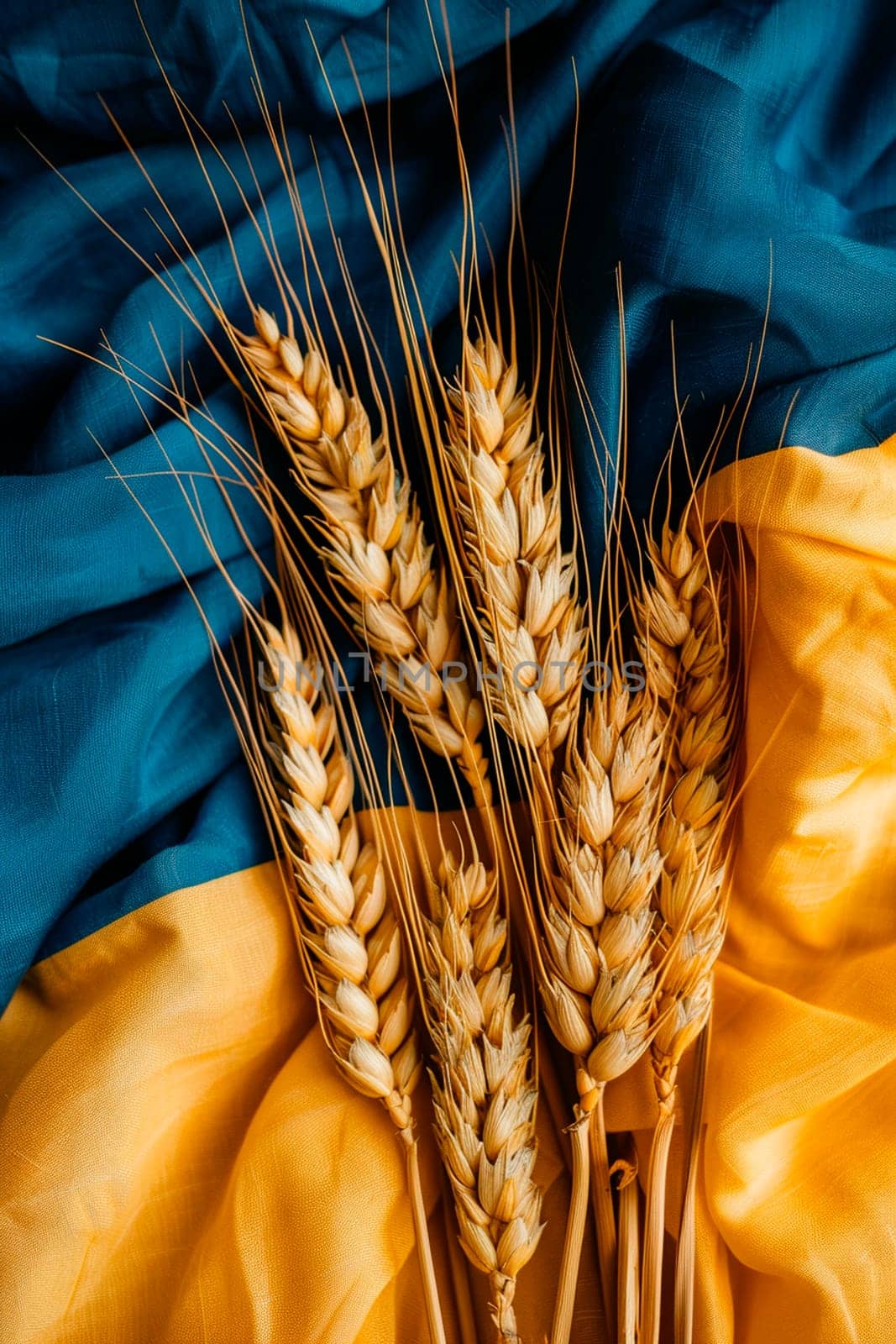 spikelets of wheat and Ukrainian flag. Selective focus. nature.