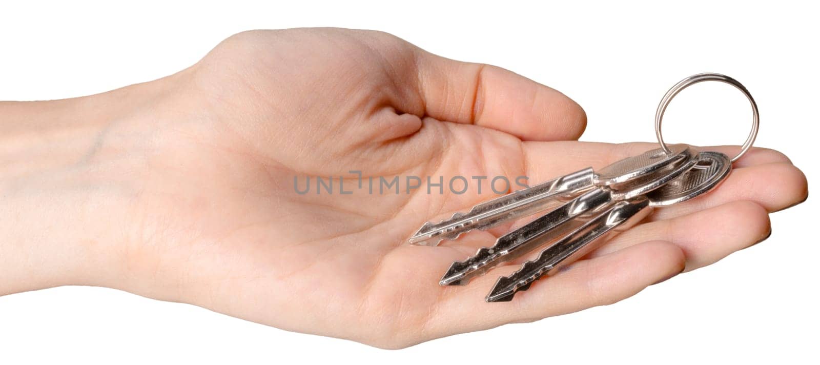 hand holding bunch of keys by Fabrikasimf