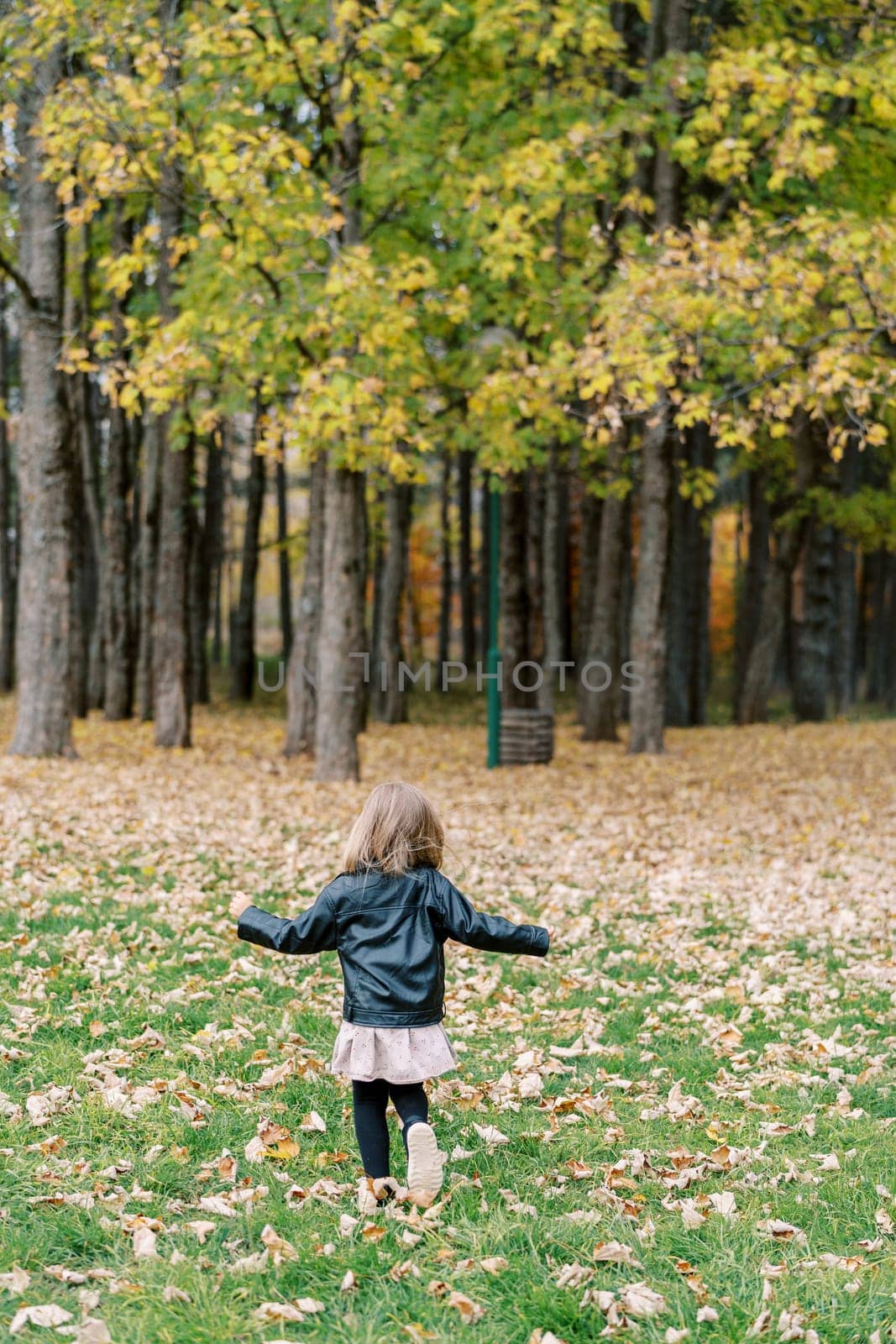 Little girl walks along fallen dry leaves in the autumn forest. Back view. High quality photo