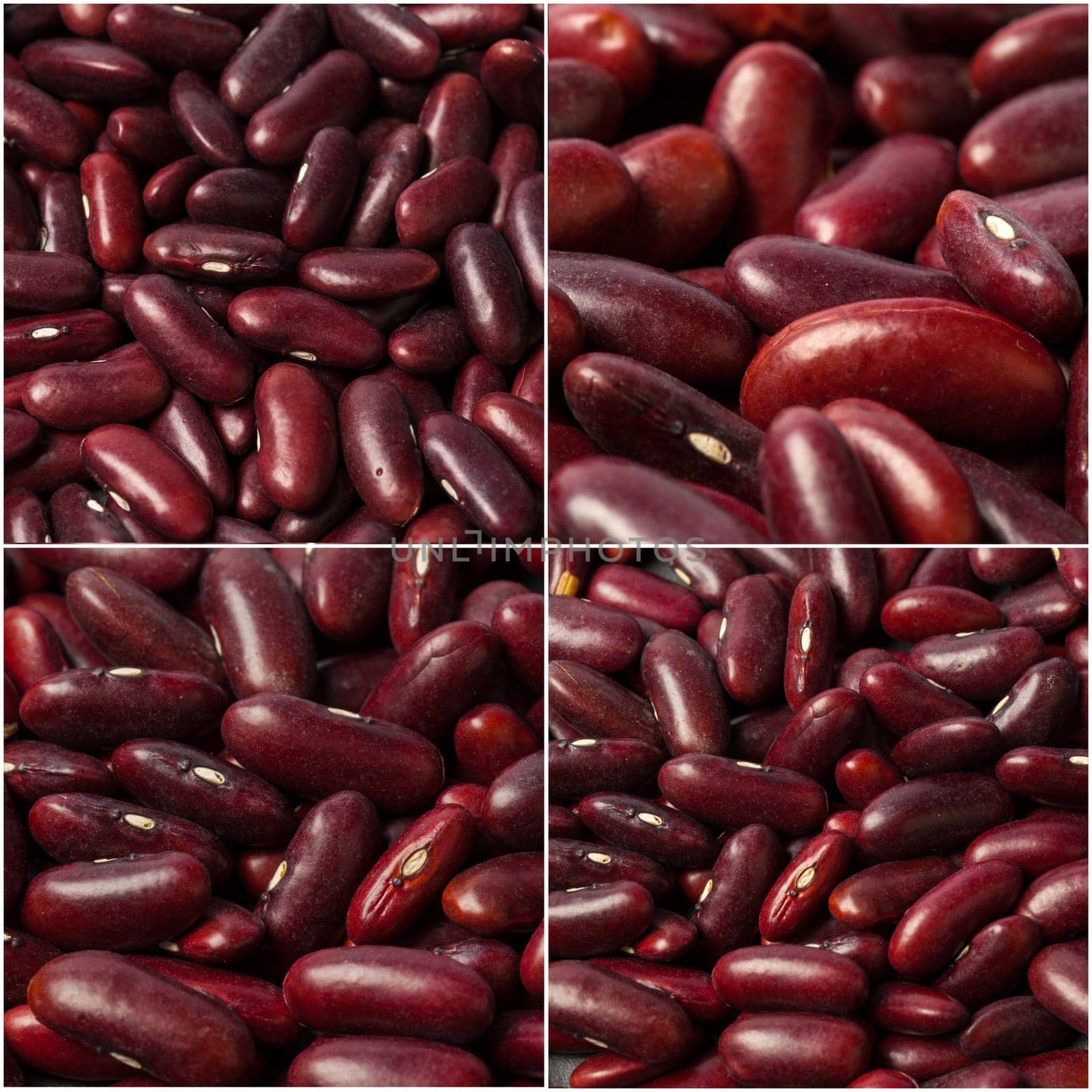 azuki beans , red beans by Fabrikasimf