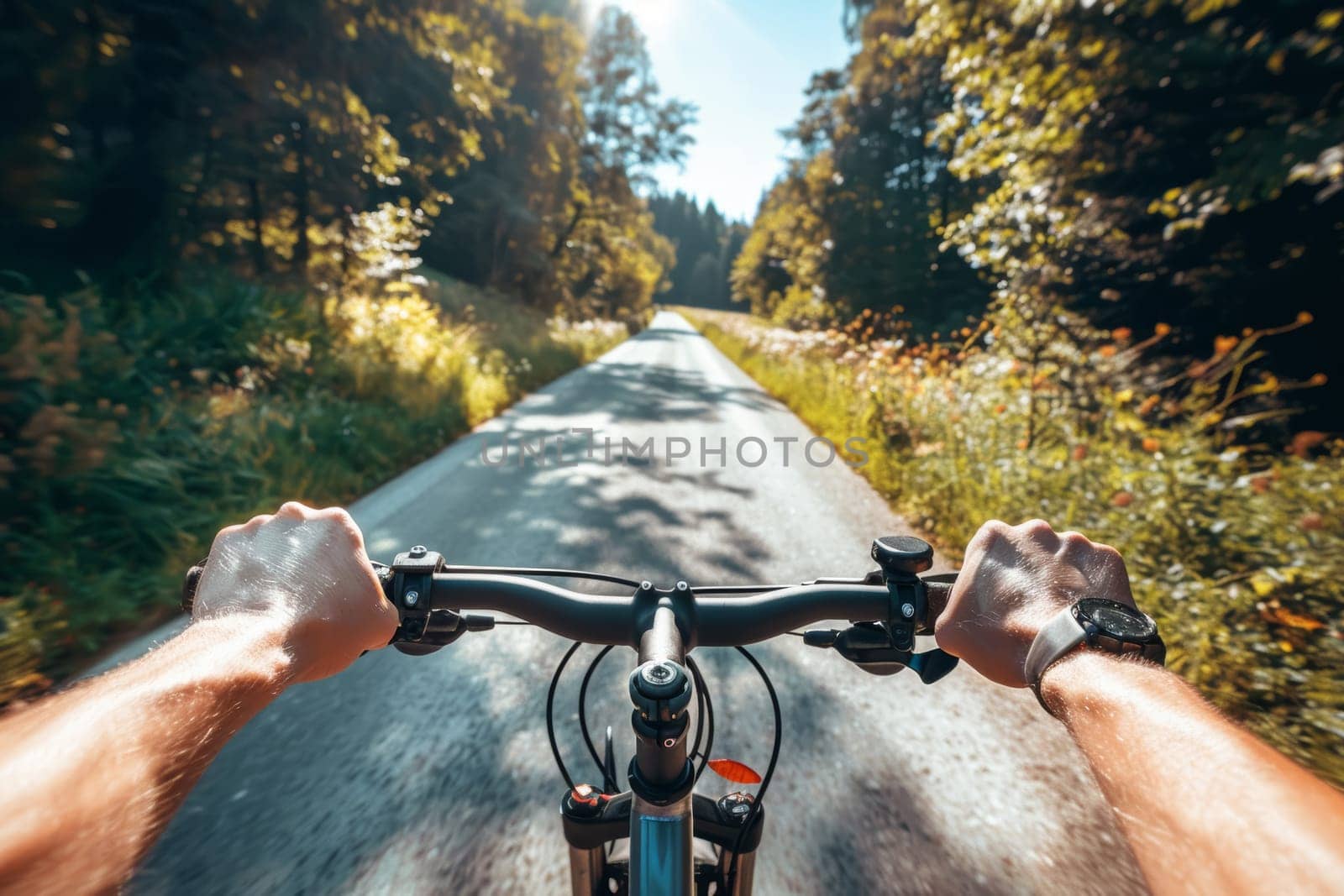 First-person view of a cyclist's sunlit journey down a serene forest road, with the focus on handlebars and the path ahead.