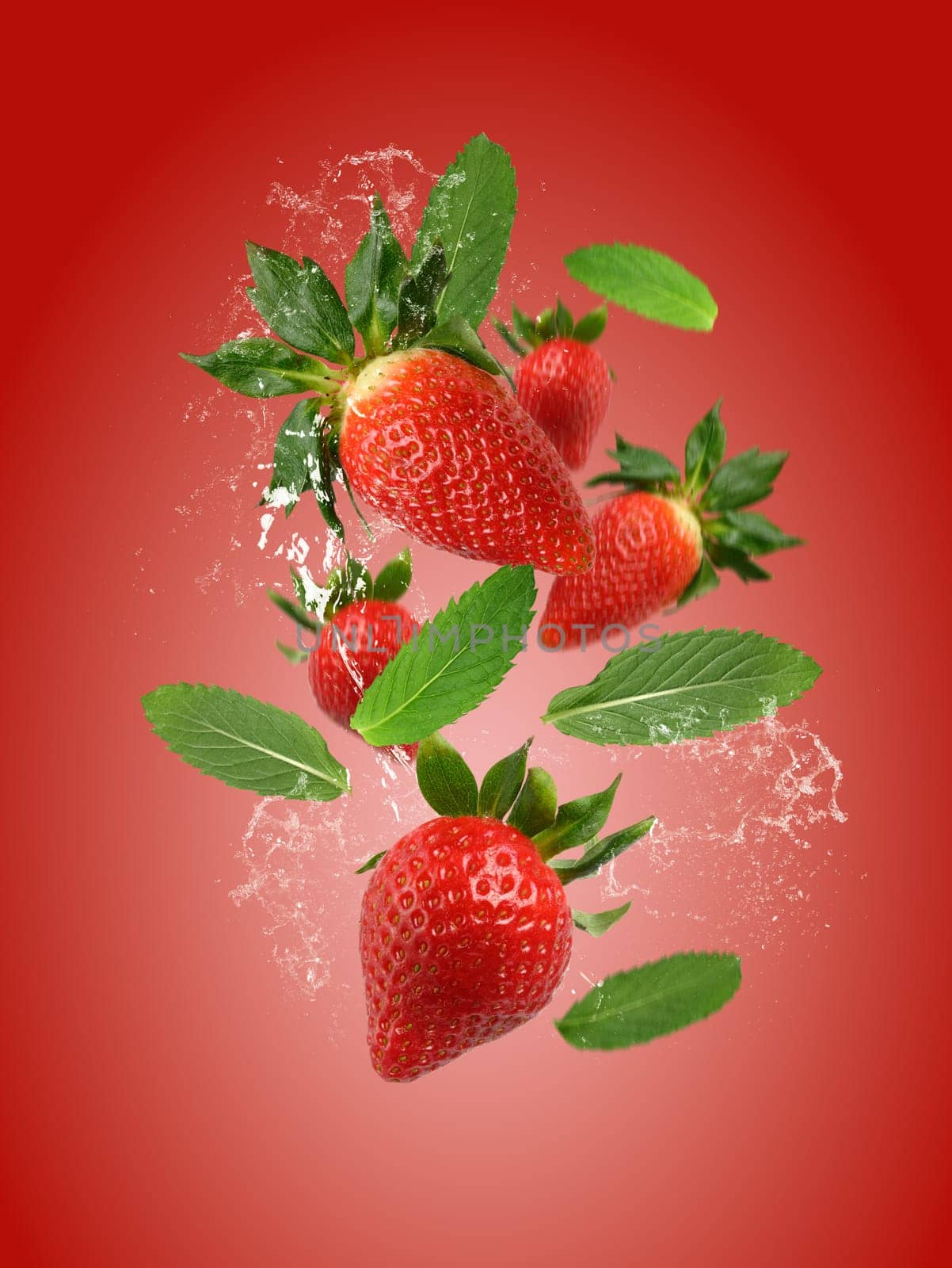 Red ripe strawberry on ia red background. Berries and mint leaves levitate by ndanko