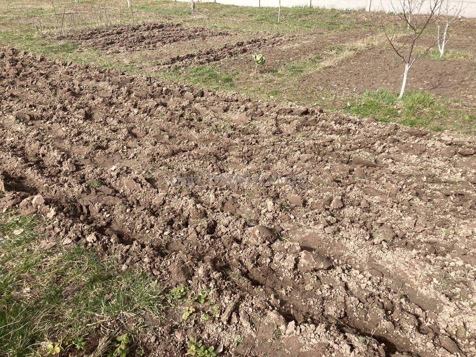 Soil processed by a the plow in spring