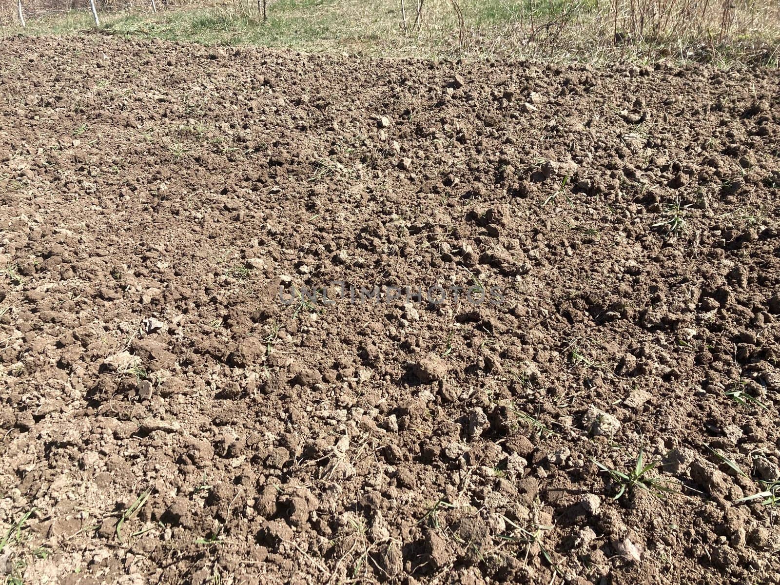 Soil processed by a the plow in spring