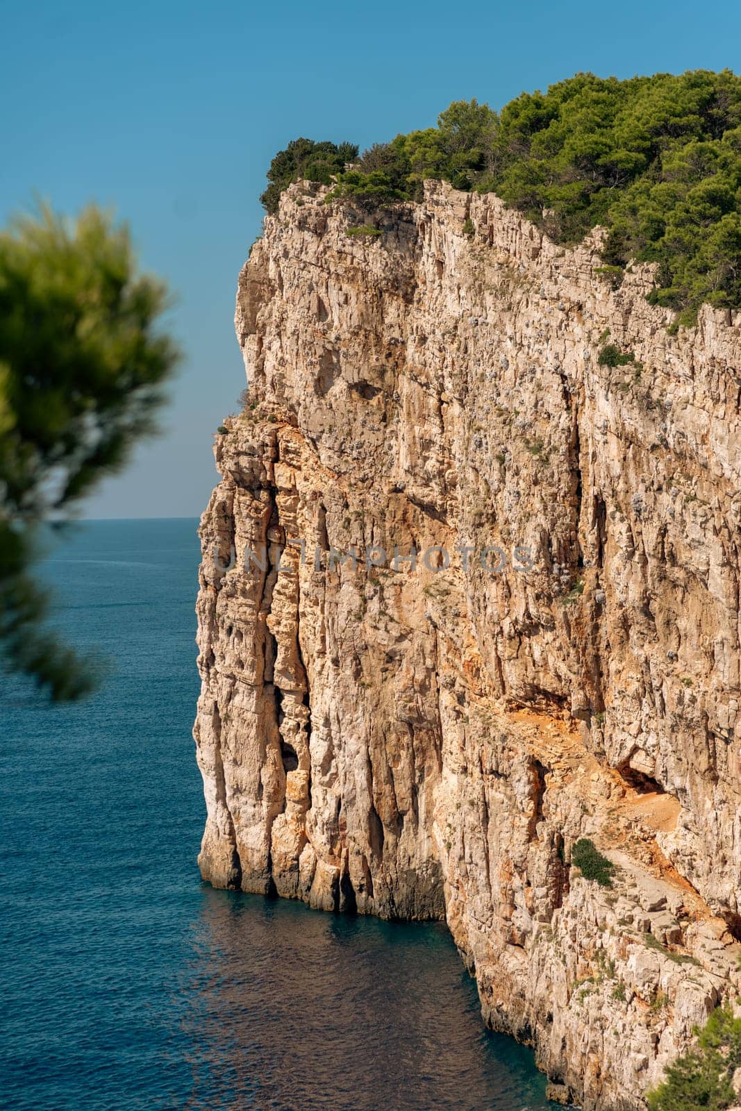 Sheer cliffs with green trees, rocky wall by sea on summer sunny day in Dugi Otok island, Telascica National Park, Croatia