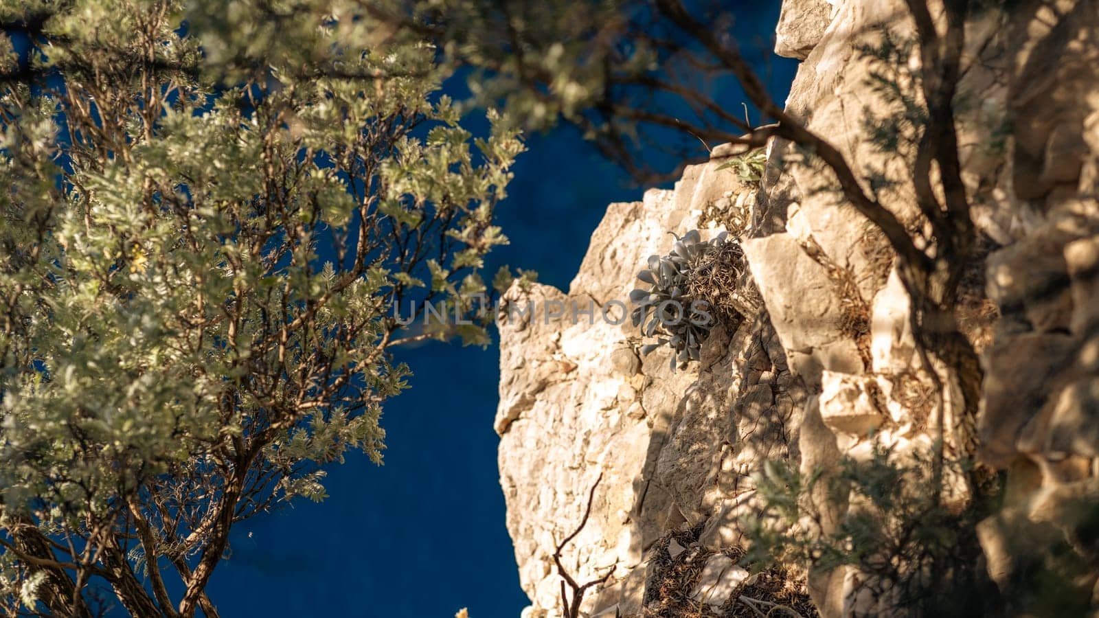 Summer scenic landscape with rocks and green tree branches, beautiful nature of Telascica National Park, Croatia