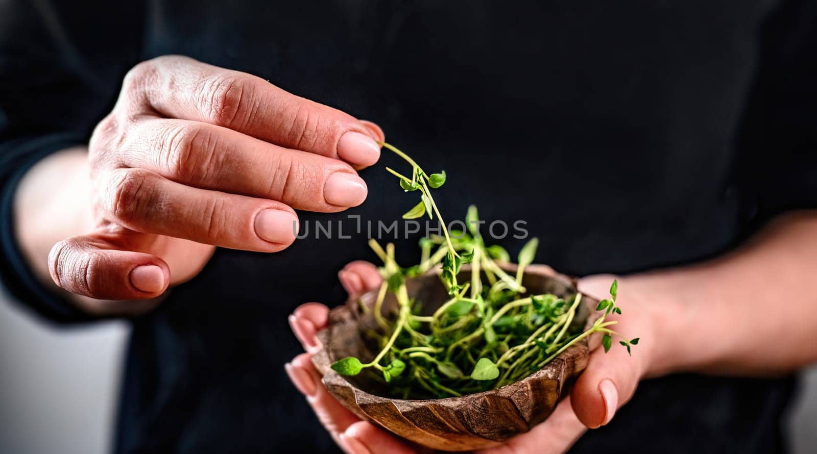 Girl hands holding bowl with microgreen sprouts by GekaSkr