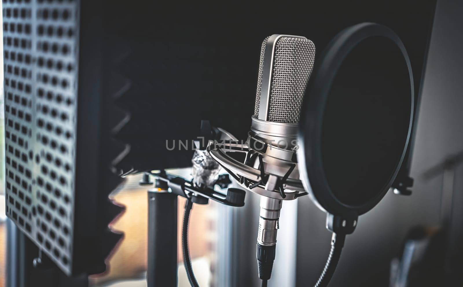 Microphone in recording studio by GekaSkr