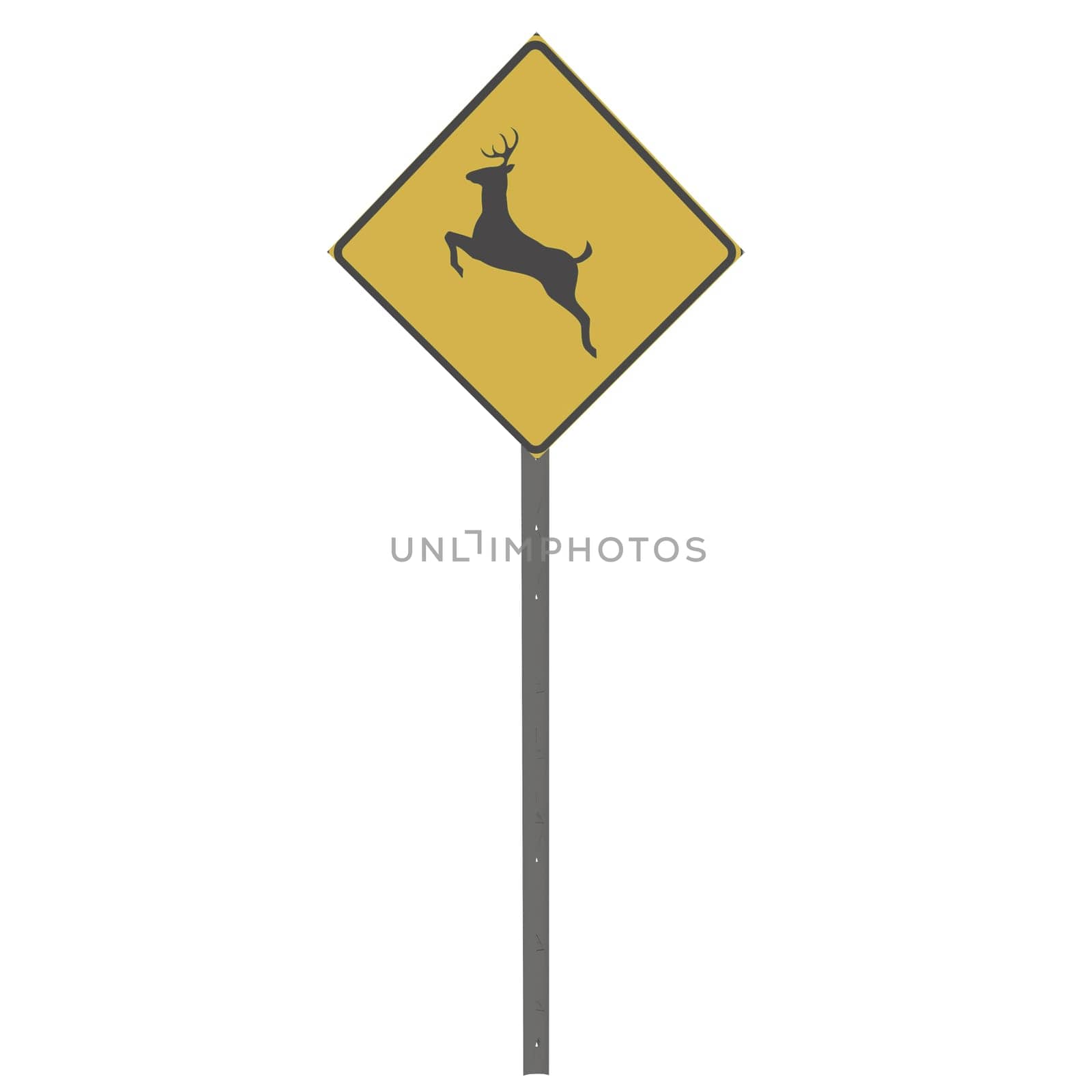 Deer Traffic Sign isolated on white background by gadreel