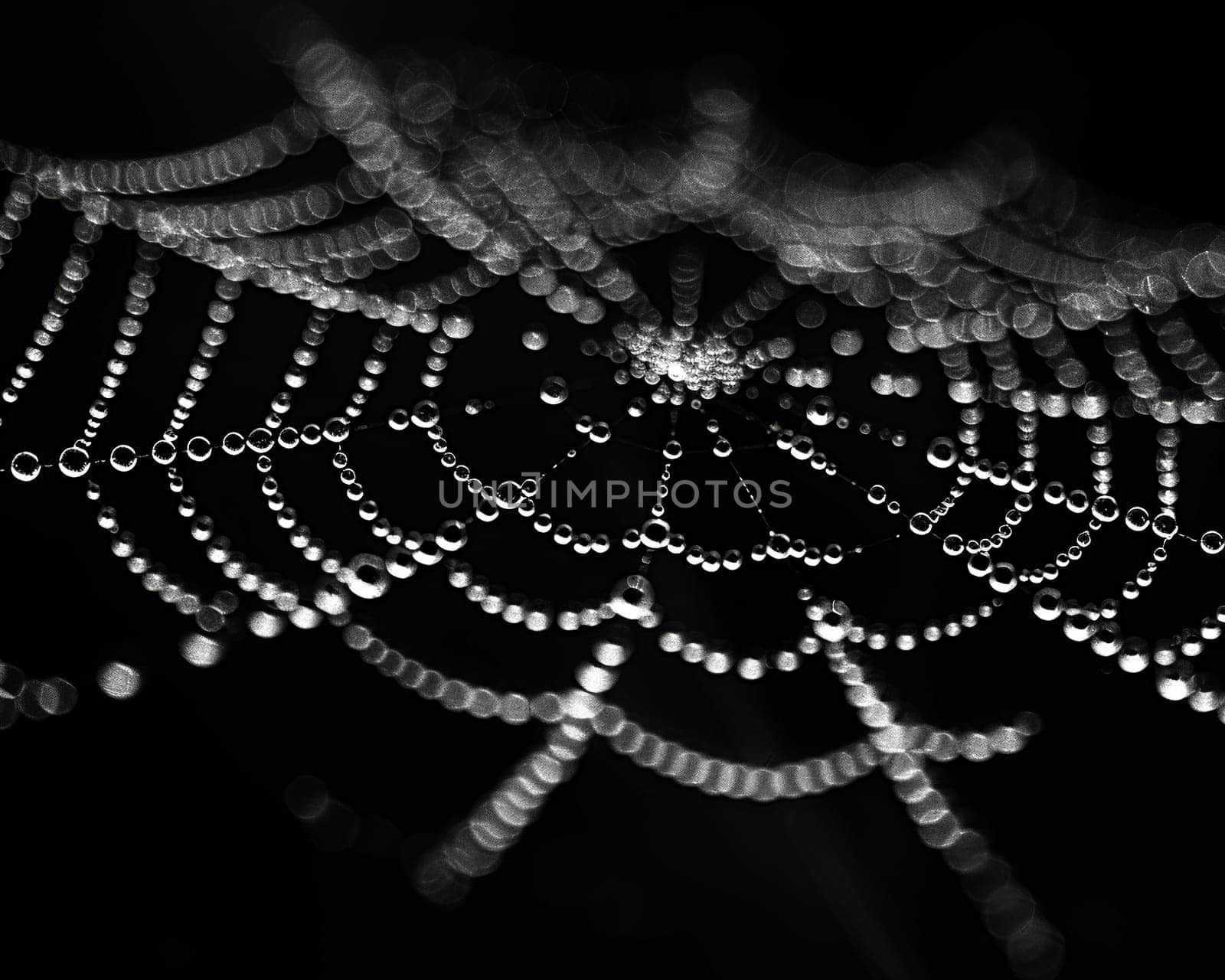 Glistening raindrops on a spider web, capturing the intricacy and beauty of nature.