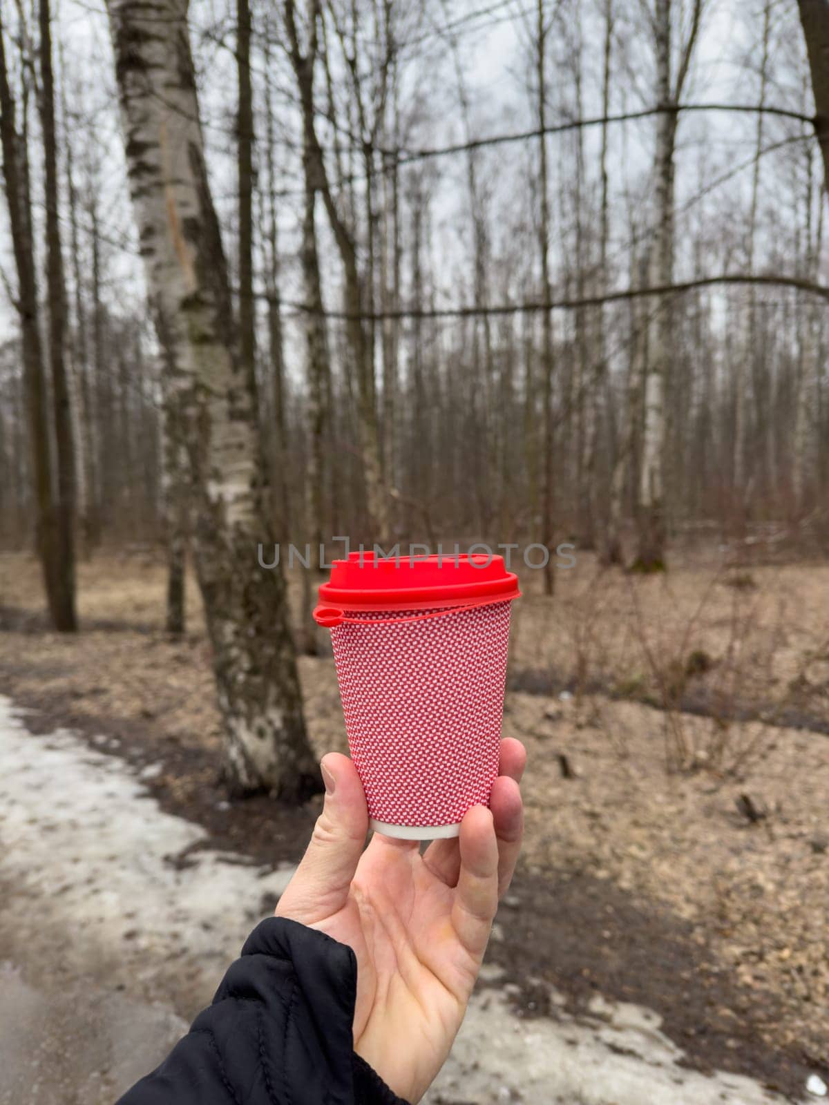 The pink cardboard coffee cup with a red plastic lid in men's hands on the background of a spring park, black jacket, naked forest. High quality photo