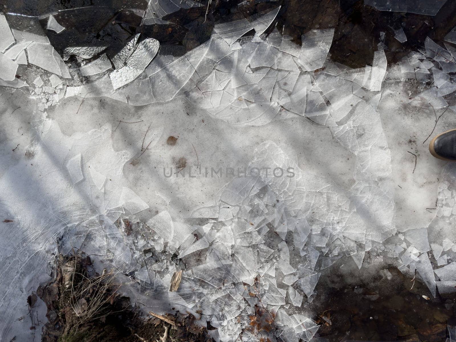 thin transparent ice on a puddle in the park on a spring day, foliage through the ice, dry grass through ice by vladimirdrozdin