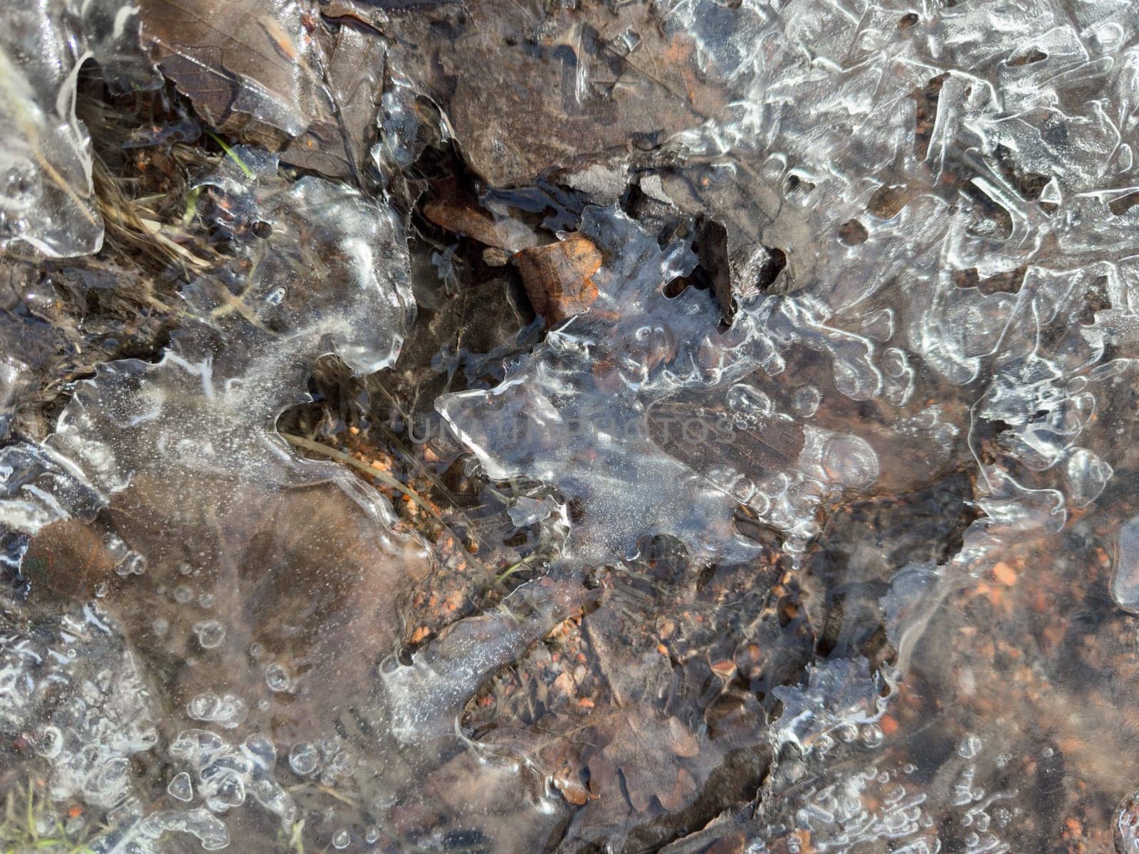 thin transparent ice on a puddle in the park on a spring day, foliage through the ice, dry grass through ice. High quality photo
