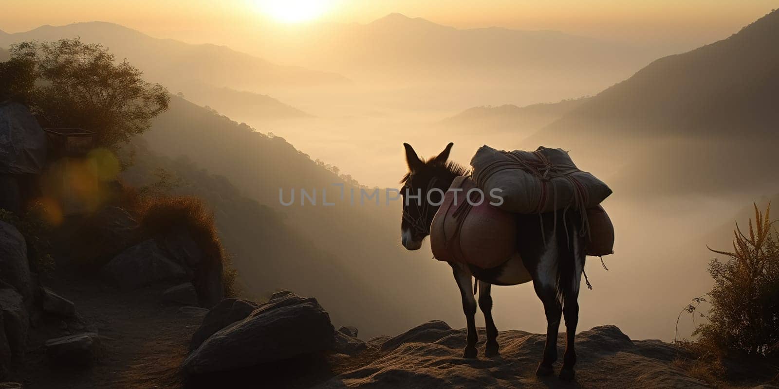 Loaded Domestic Donkey With Bags On A Mountain Path At Sunset