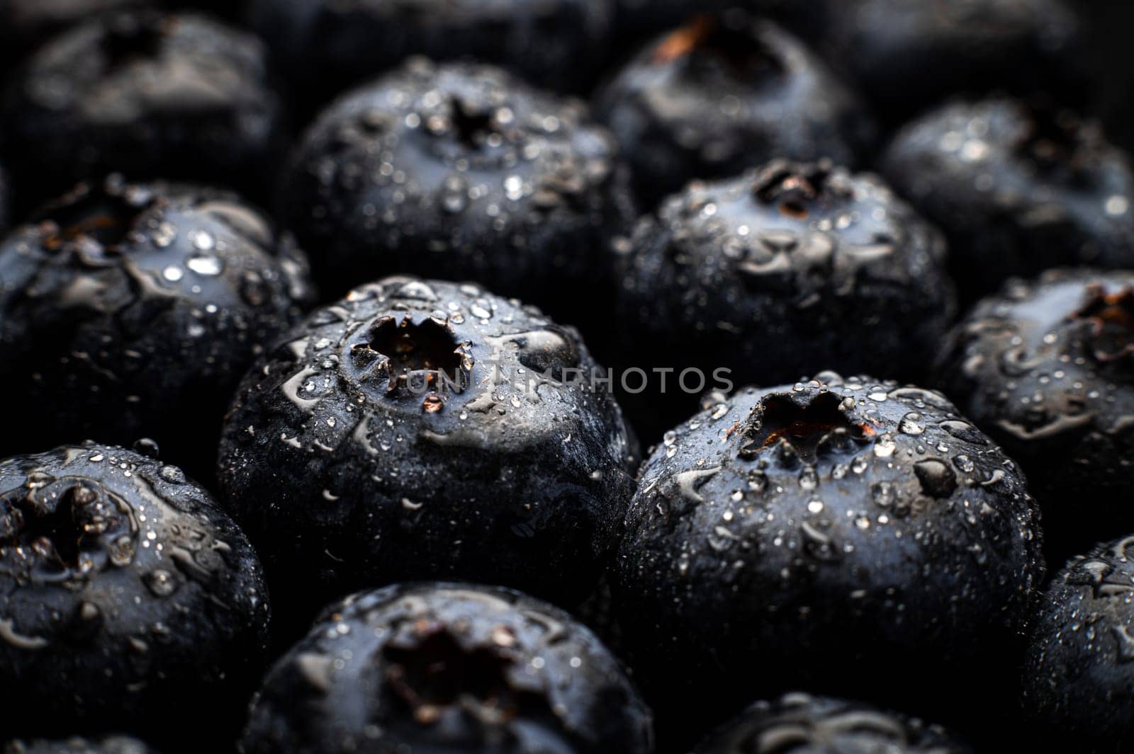 Close-up Wet fresh Blueberry background. Studio macro shot