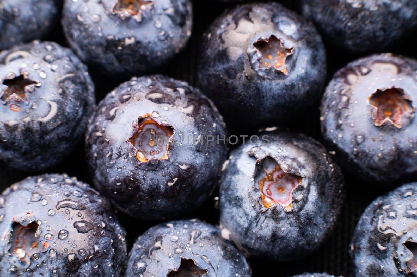 Close-up Wet fresh Blueberry background. Studio macro shot