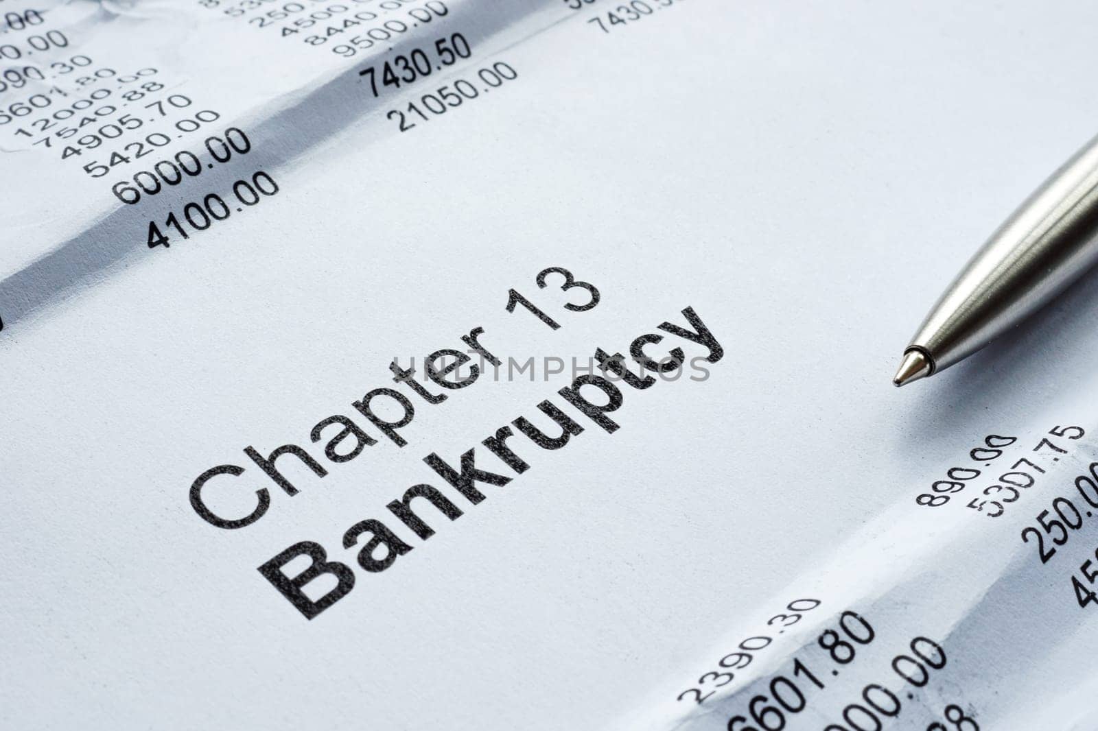 Chapter 13 bankruptcy financial report sheet. by designer491