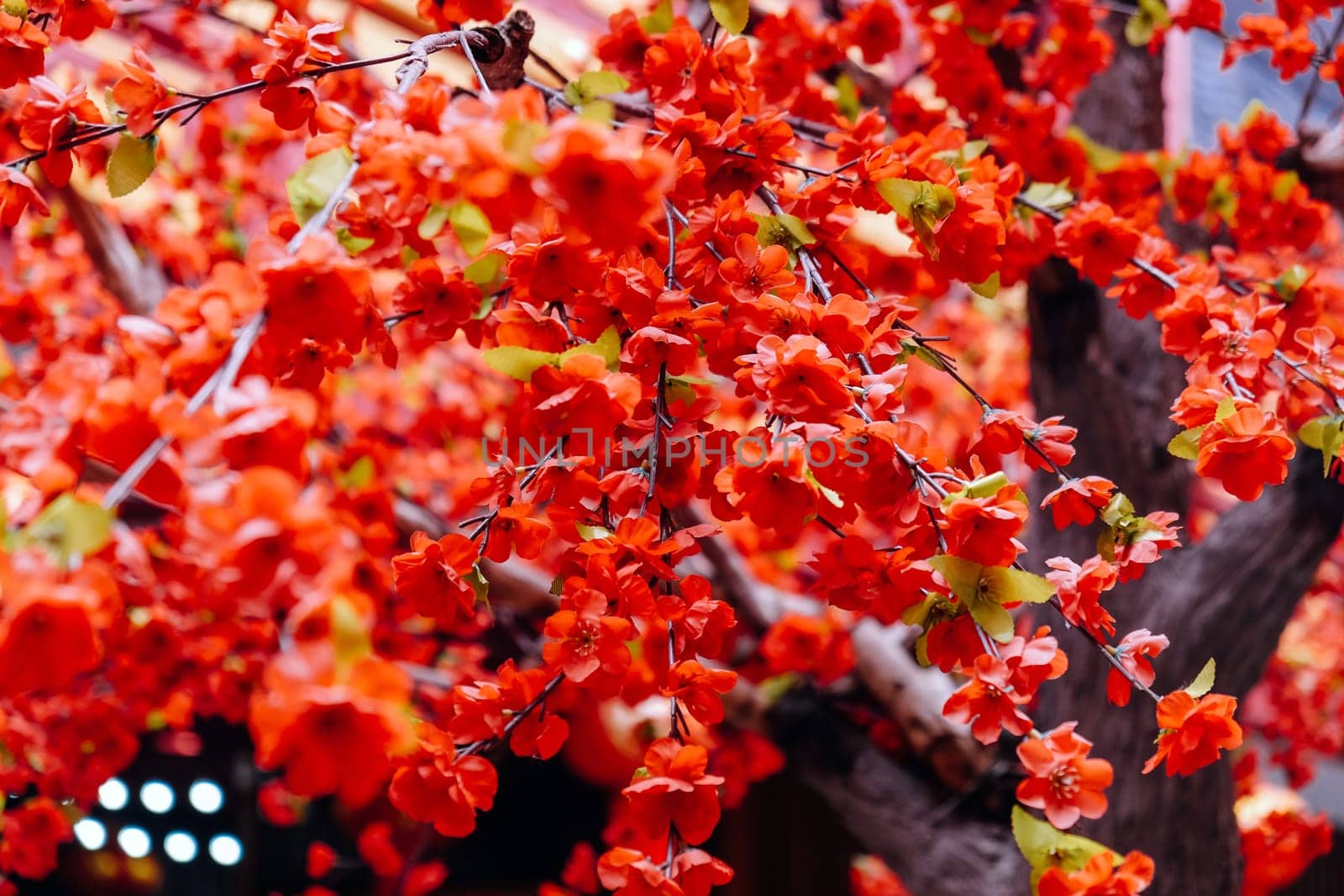 imitation flower, artificial Japanese cherry blossoms in full bloom. Beautiful flowers background.