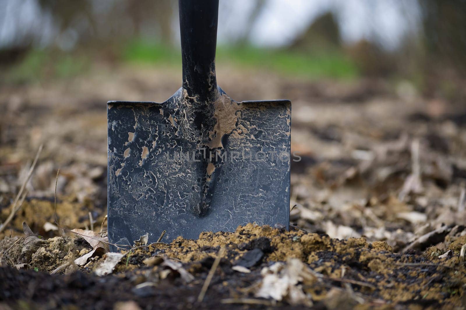 Close up of a shovel with a black handle stuck in the ground, with dirt and mud on the blade, surrounding ground covered with mud and fallen leaves