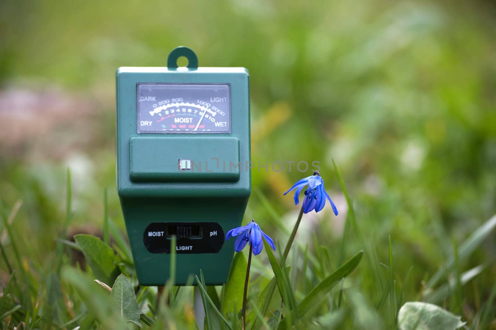 Green electronic soil moisture meter placed amidst natural surroundings on the grass accompanied by small blue flowers