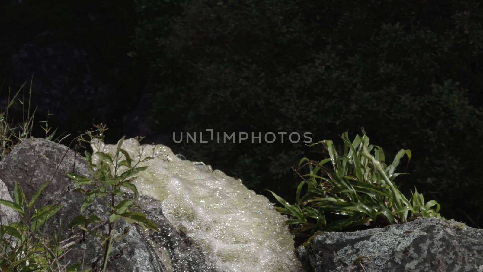 Captivating slow-mo video of a waterfall descending into darkness, surrounded by vibrant greenery.