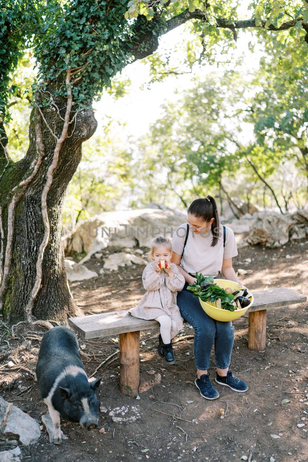 Mom with a bowl of vegetables sits near a little girl eating an apple on a park bench near a dwarf pig. High quality photo