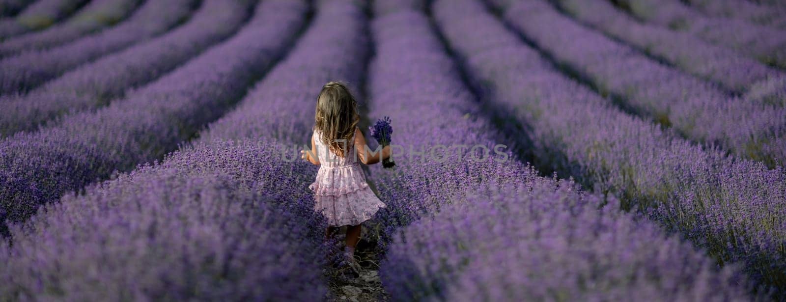 Lavender field girl banner. Back view happy girl in pink dress with flowing hair runs through a lilac field of lavender. Aromatherapy travel.