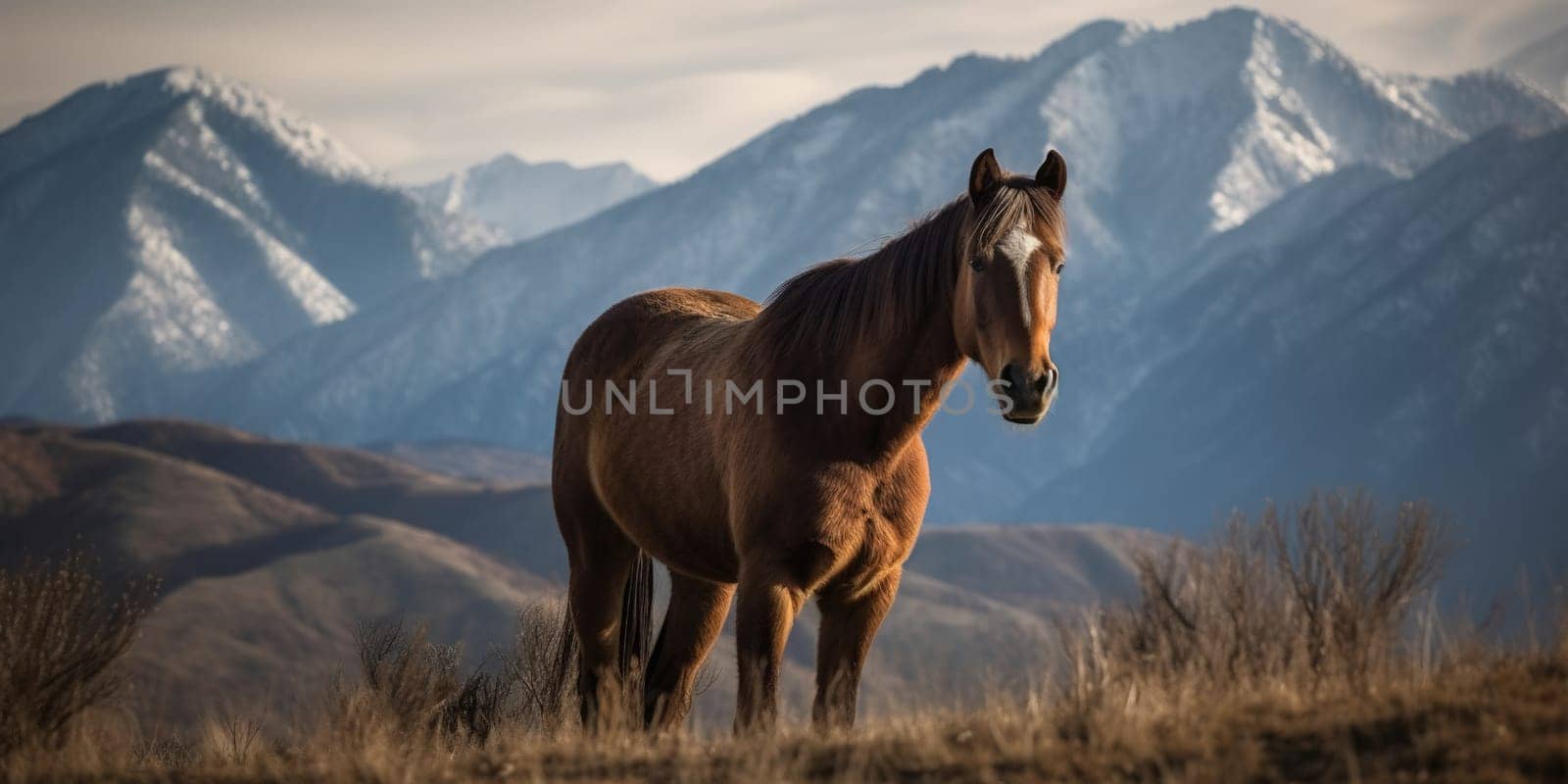 Beautiful Domestic Horse In A Valley Against Amazing Mountain Landscape View by GekaSkr