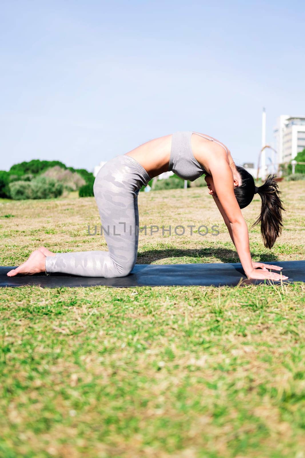 woman doing stretching exercise with yoga cat pose by raulmelldo