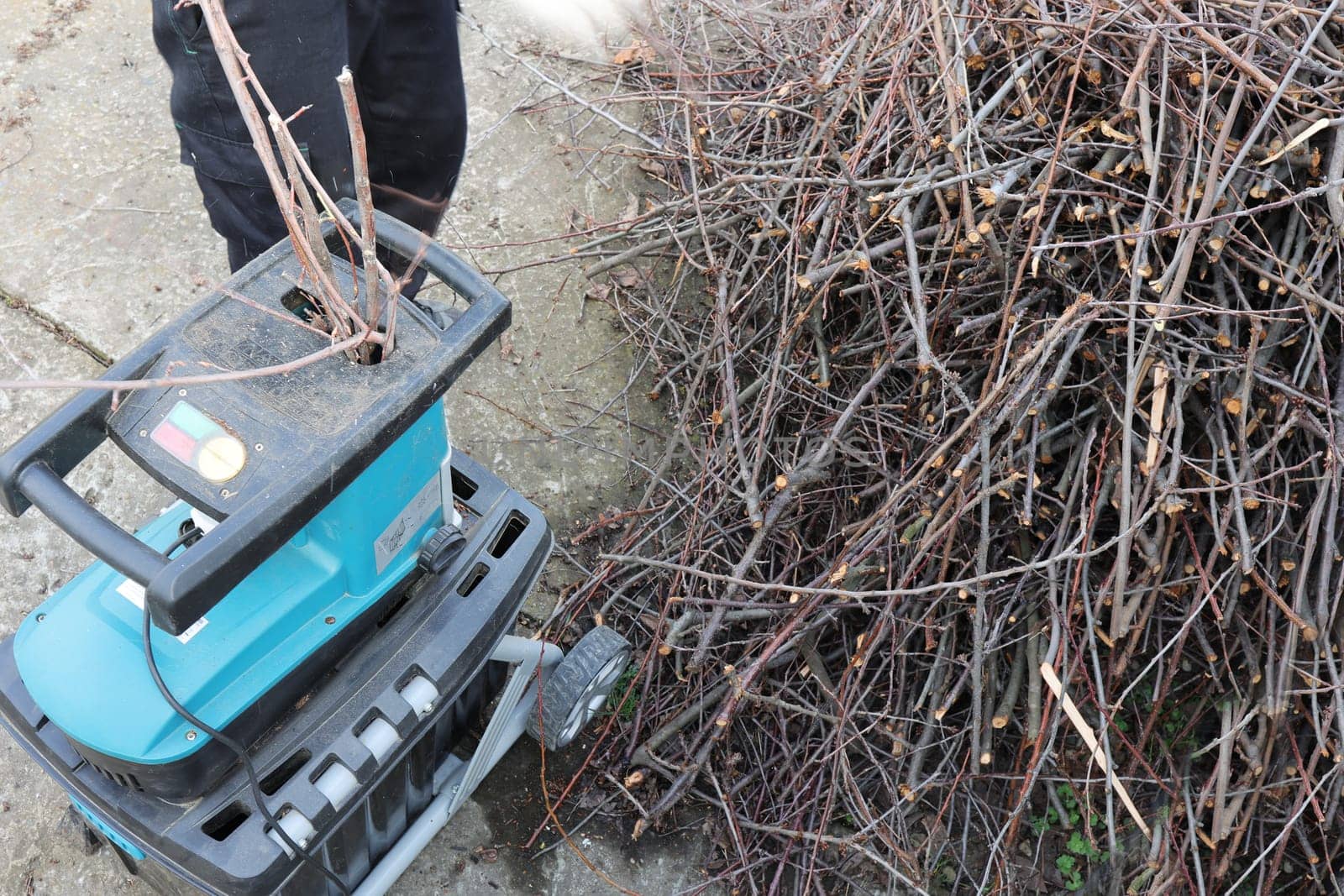 Gardener chops branches from the remains after pruning garden trees and makes mulch to improve the fertility of garden soil. Conceptually ecology, respect for nature, organic farming