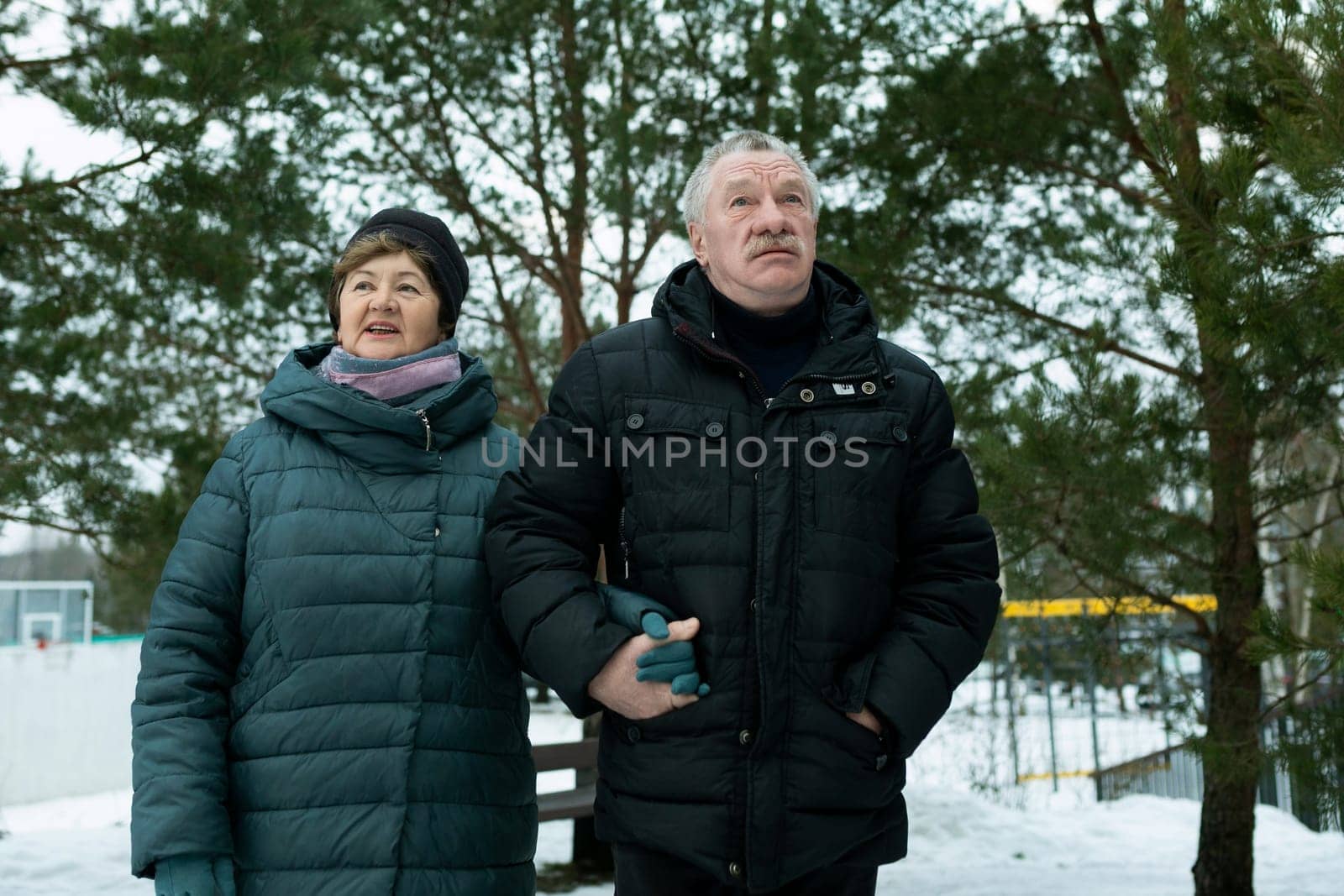 Mature husband and wife went for a walk in the winter park.