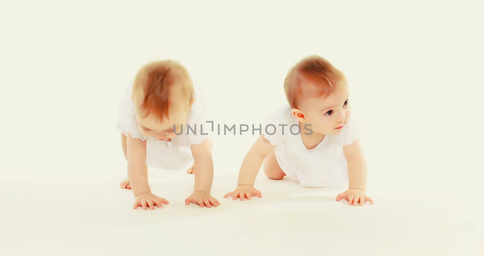 happy cute two twin babies crawling and playing on the floor on white studio background