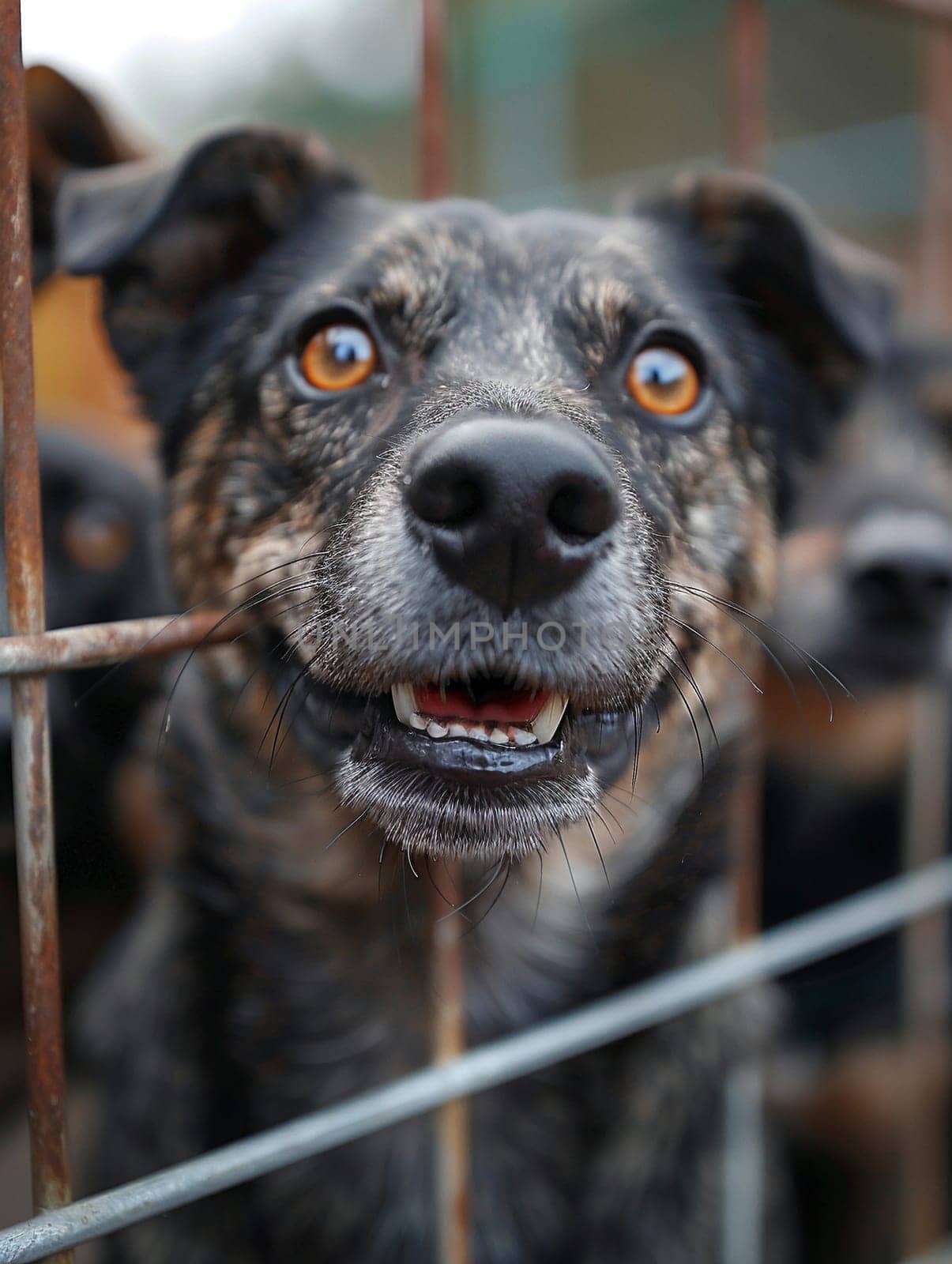 Busy Pet Shelter Finding Forever Homes for Furry Friends, The energetic blur of pets and adopters highlights the compassionate business of animal care.