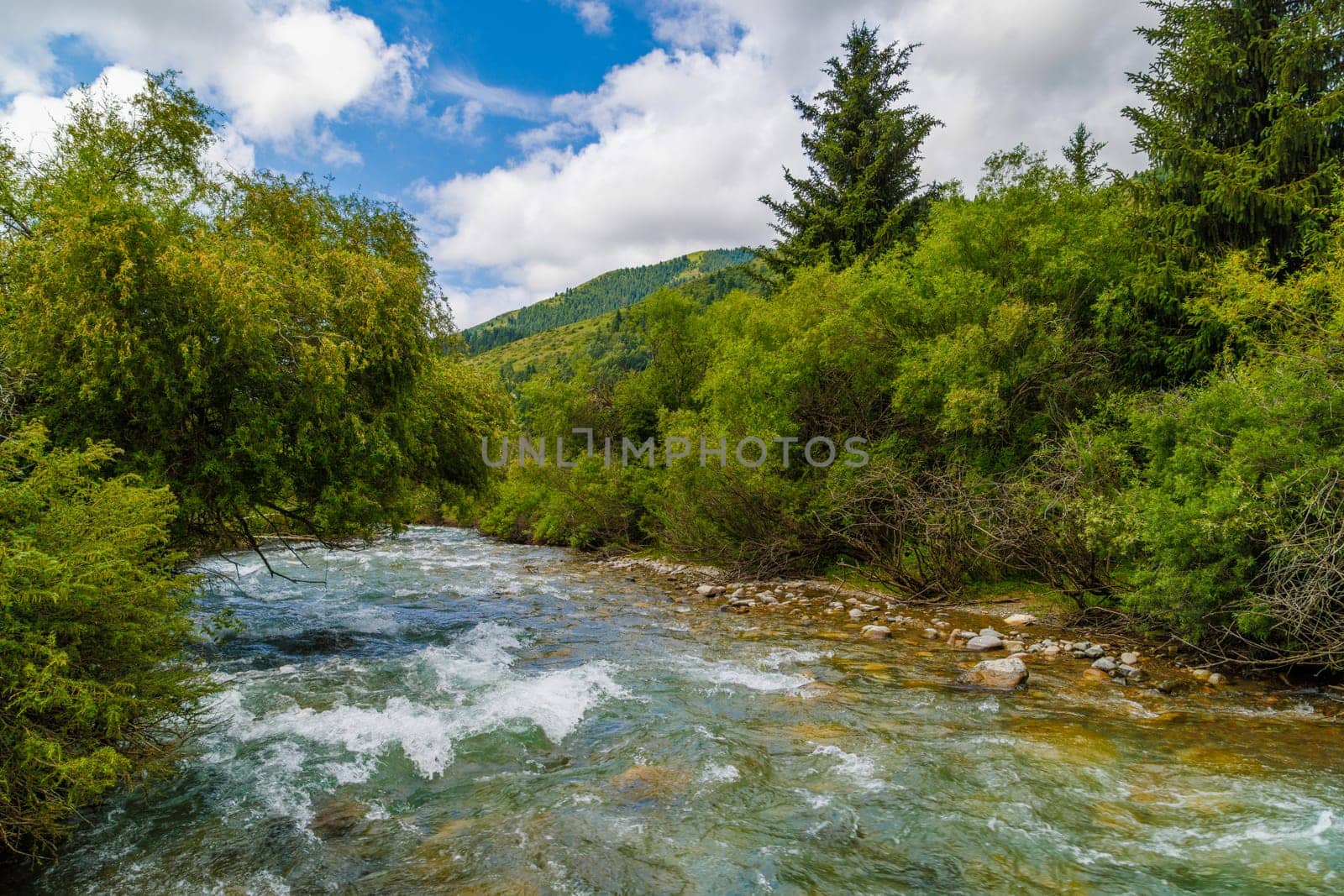 Water of rocky river flowing through green bushes under cloudy skies, surrounded by lush greenery by z1b