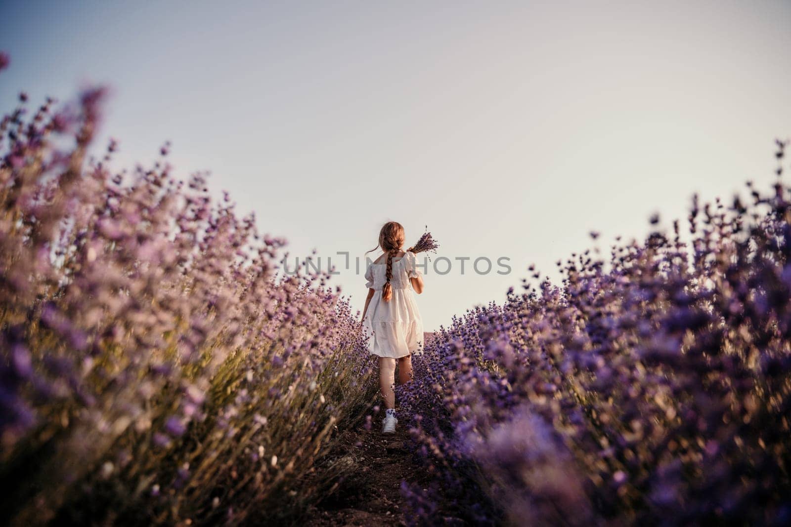Lavender field girl. Back view happy girl in white dress with a scythe runs through a lilac field of lavender. Aromatherapy travel.
