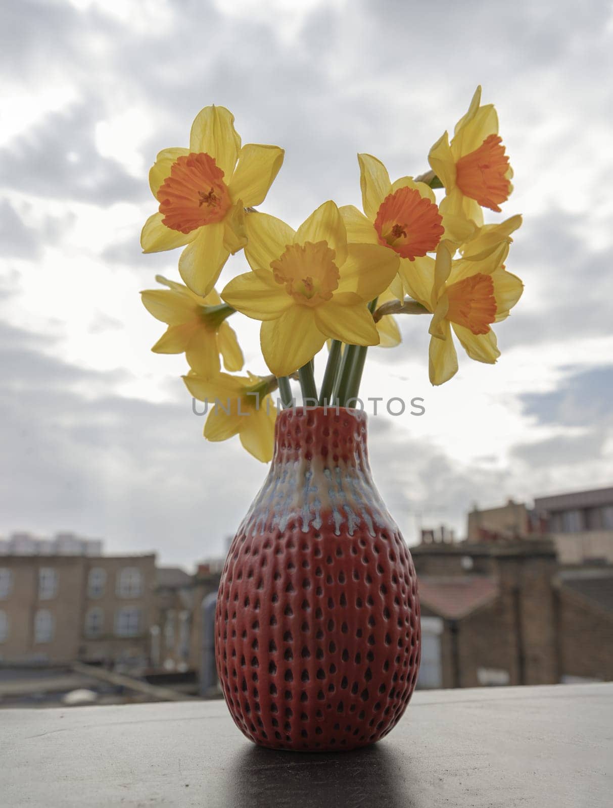 Bunch of daffodils in a red ceramic vase on the terrace with sky background. Arrangement of Yellow Spring Flowers Daffodils, Amazing view background with Yellow flowers, Copy space, Selective focus.