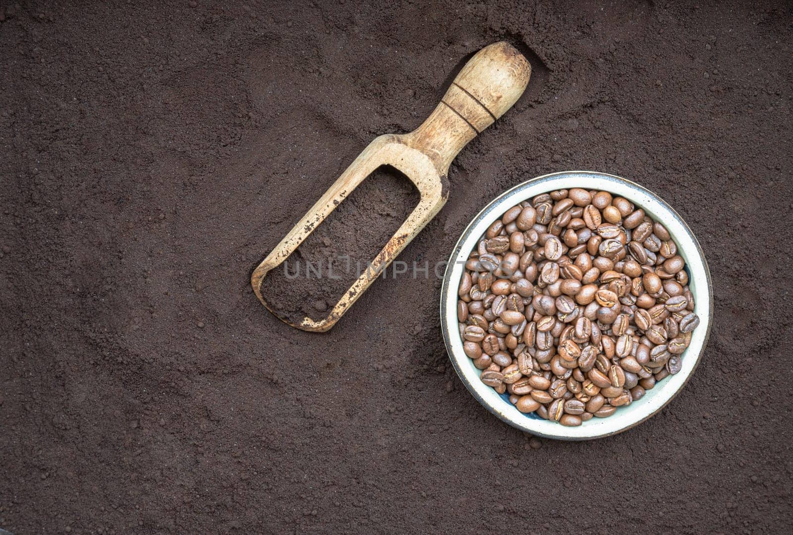 Coffee beans in round bowl with Coffee powder in wooden scoop with Coffee powder background. lternative coffee for living life, Coffee concept, Space for text, Selective focus.