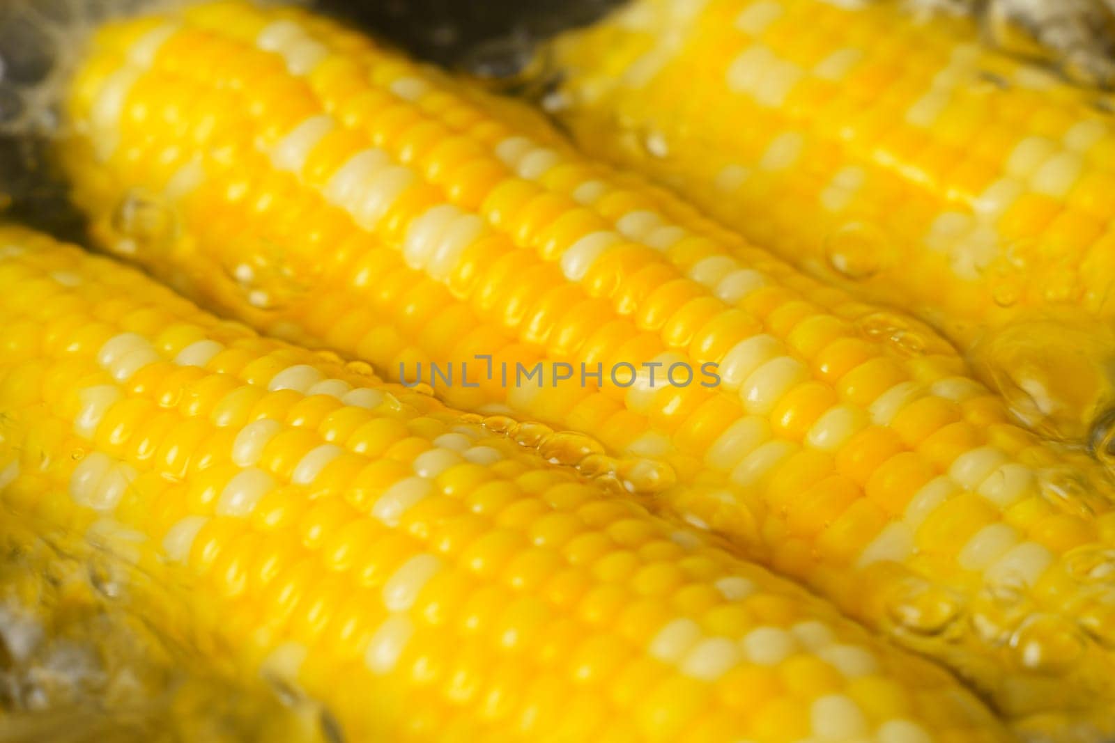 Fresh corn on the cob being grilled in a hot pan, sizzling and caramelizing to perfection.