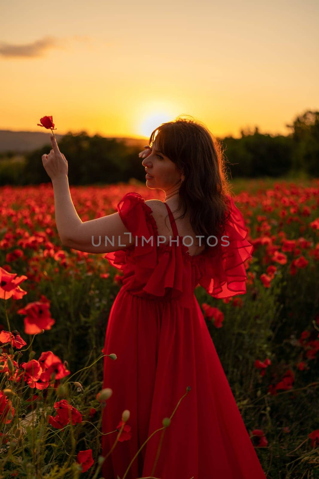 Woman poppy field red dress sunset. Happy woman in a long red dress in a beautiful large poppy field. Blond stands with her back posing on a large field of red poppies by Matiunina