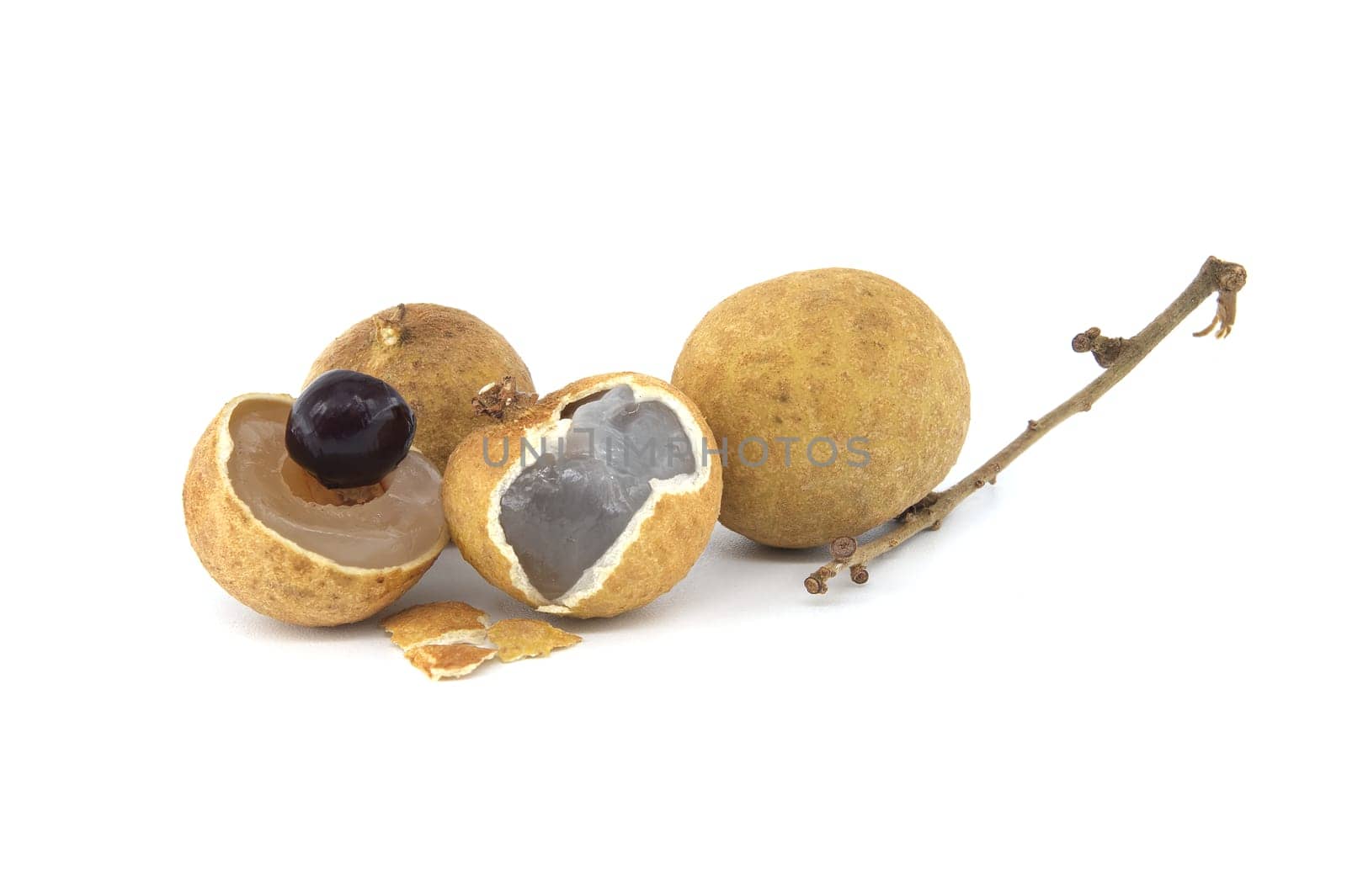 Longan fruits on branch, one of the fruits is cut open, displaying its black seed inside, dragon eye fruit or longan bao