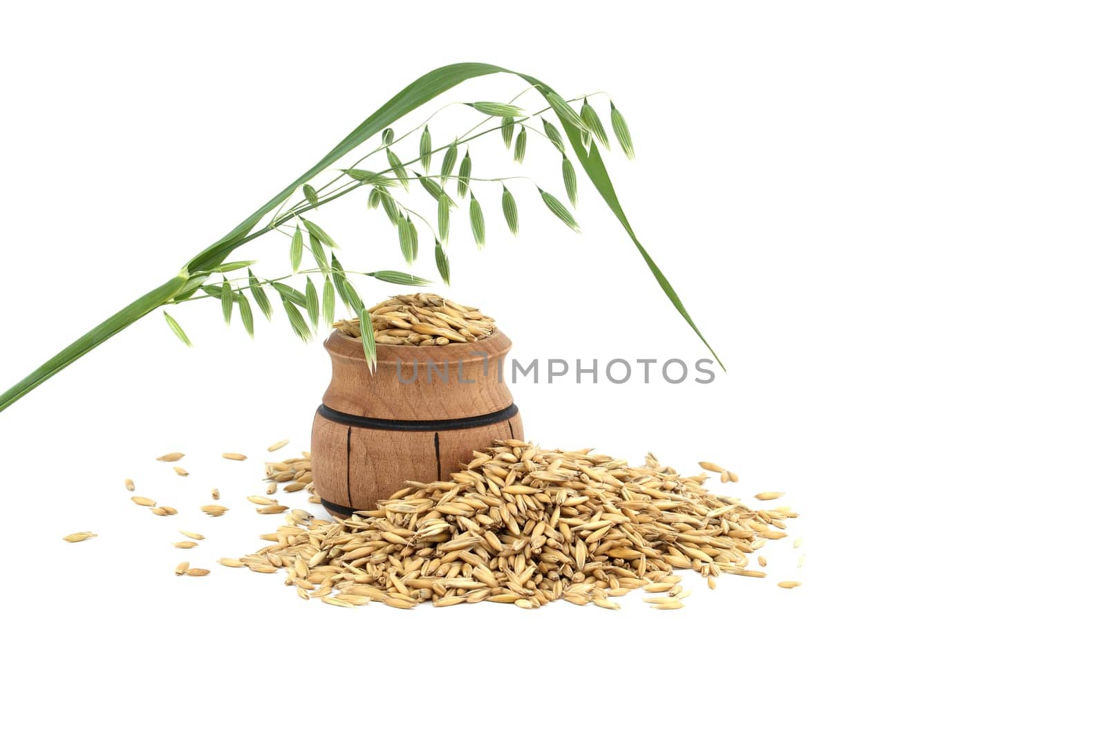 Whole oat grain seeds with hulls isolated on white by NetPix