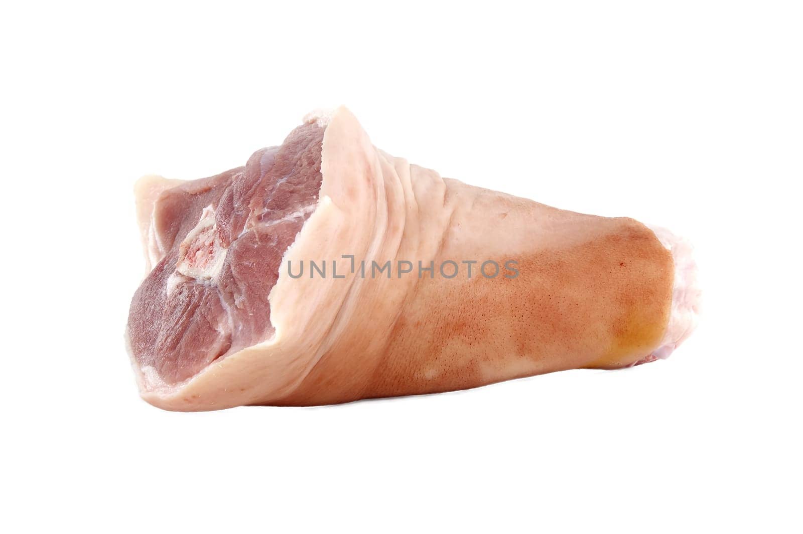 Uncooked fresh raw pork shank isolated on white background