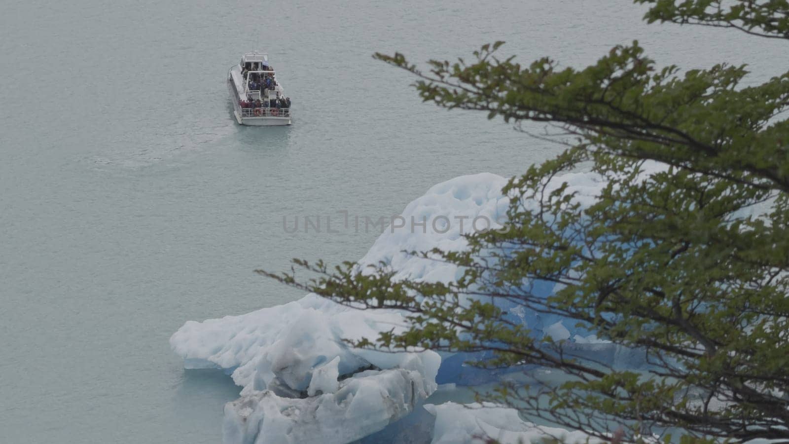 Tourist Boat Sailing by Iceberg with Wind-Swept Tree Branches by FerradalFCG