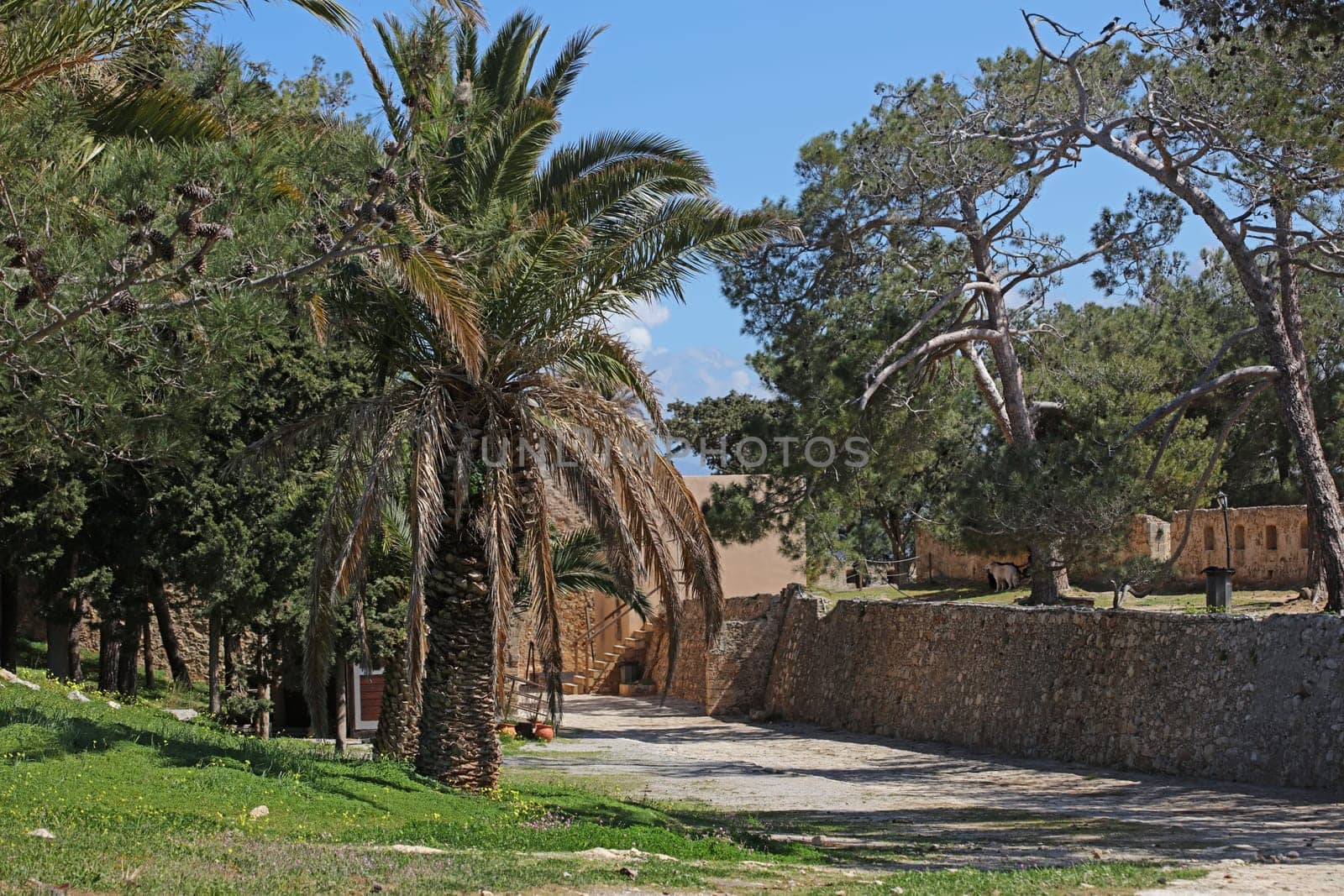 Fortezza fortress castle in Crete island Rethimno holidays exploring the old ancient stone city monuments close up summer background carnival season high quality big size printings