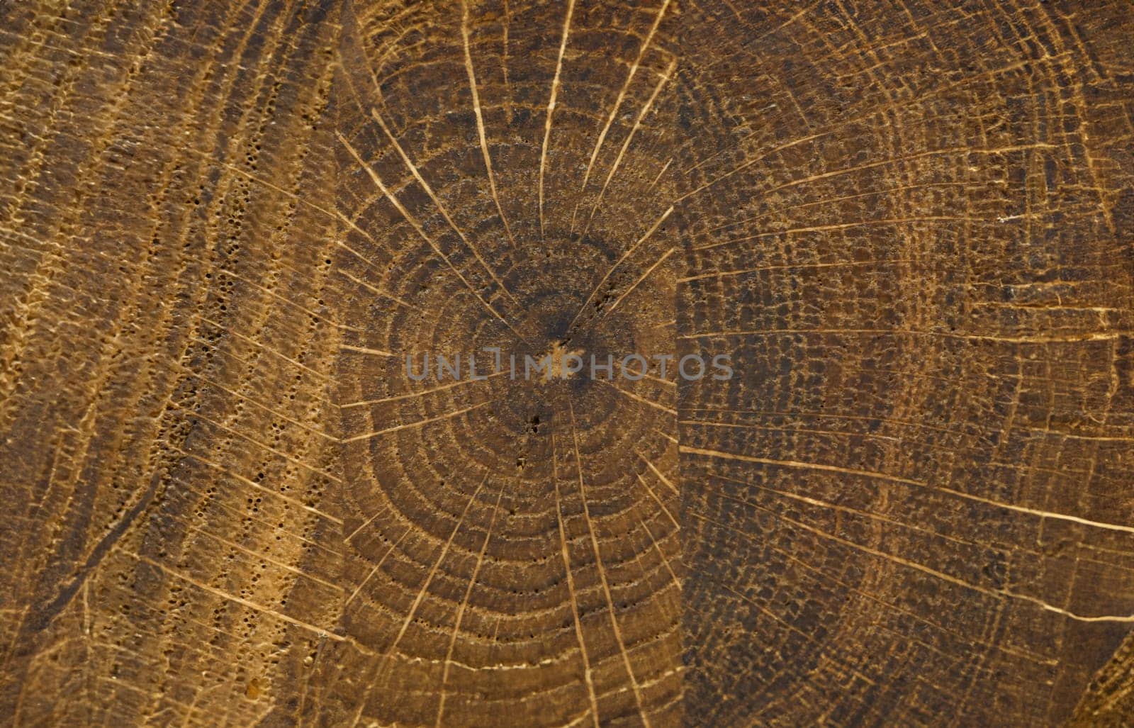 Abctract wooden texure closeup background by kuprevich