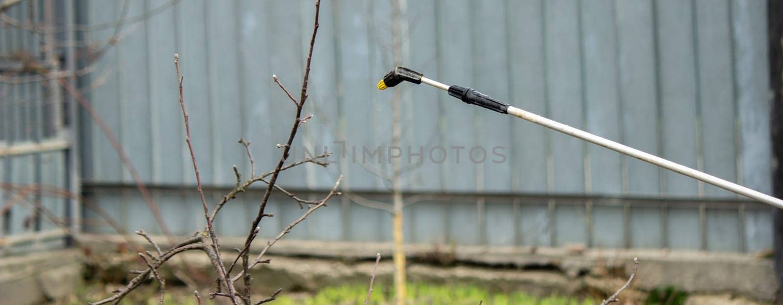 a man sprays trees in the spring.