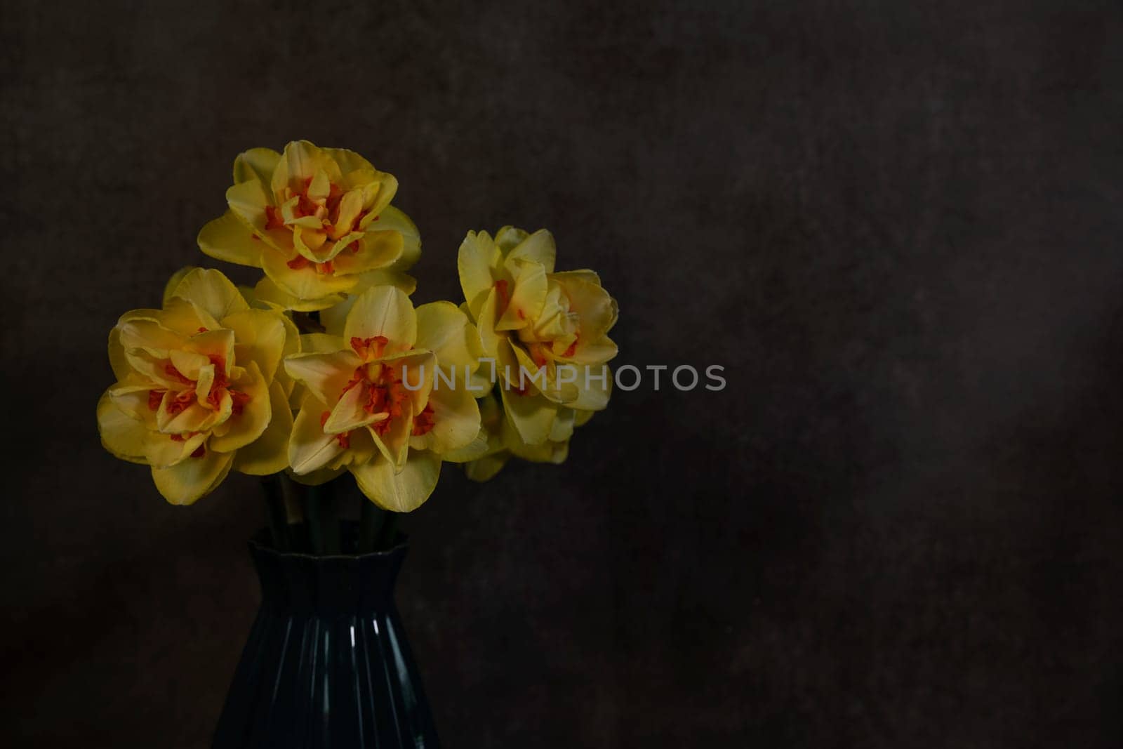 a still life with a blue vase with yellow daffodils with an orange heart on a dark background