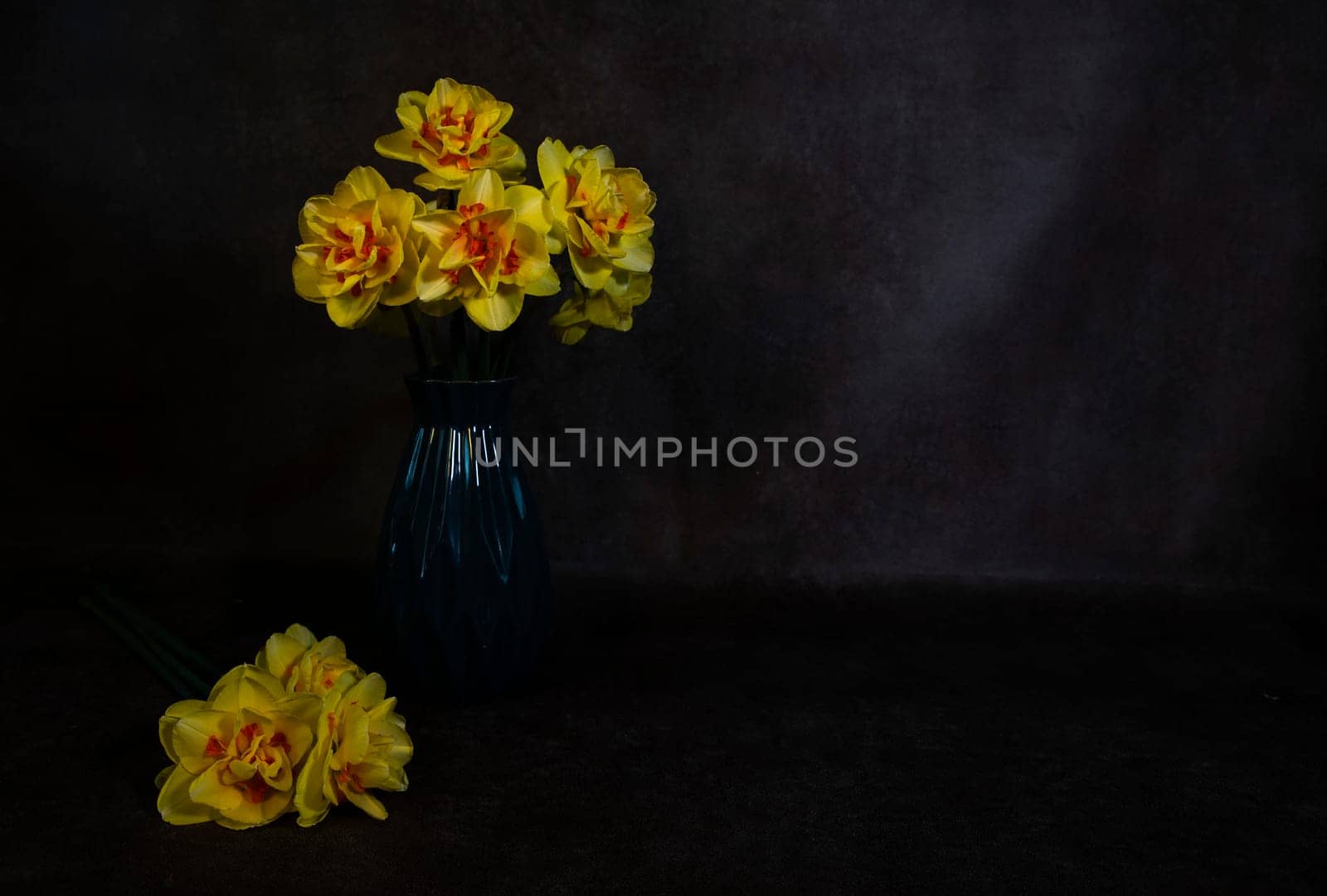 a still life with a blue vase with yellow daffodils with an orange heart on a dark background