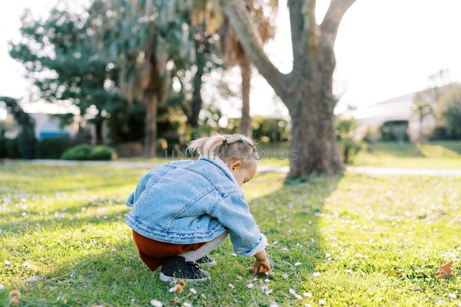 Little girl squats on a green meadow and picks the ground with her fingers. Back view. High quality photo